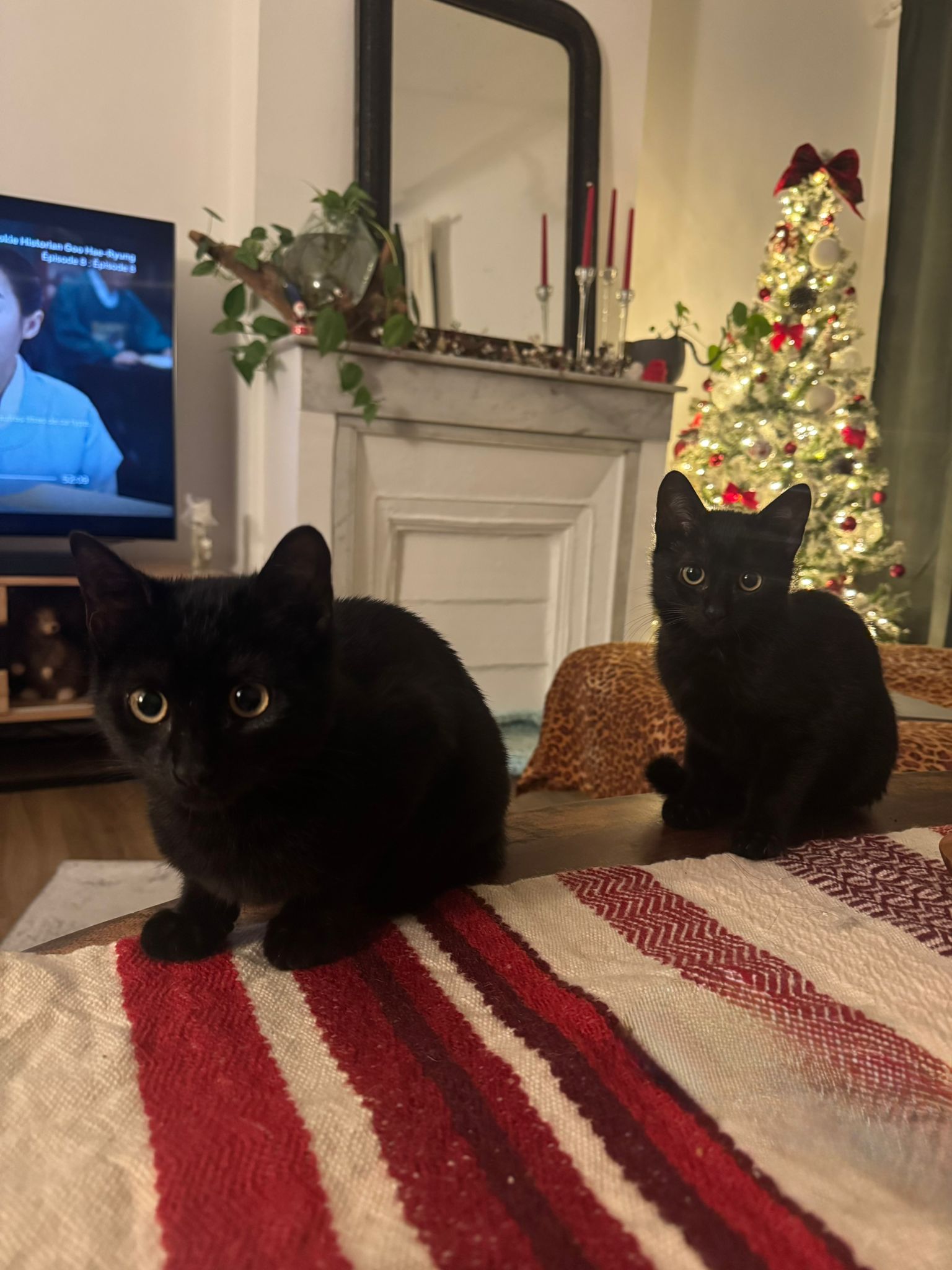 WhatsApp Image 2026-02-01 at 10.39.26