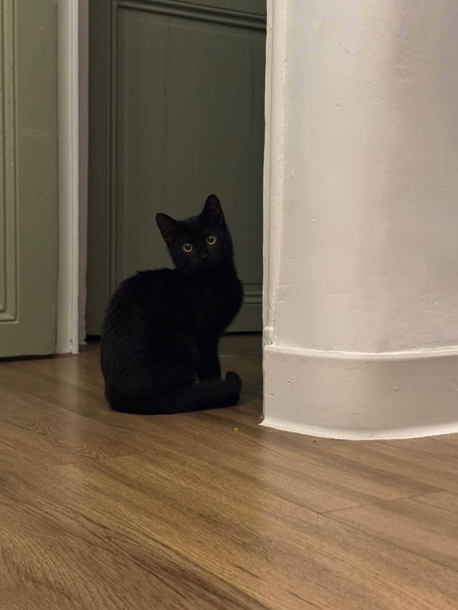 WhatsApp Image 2026-02-01 at 10.40.17