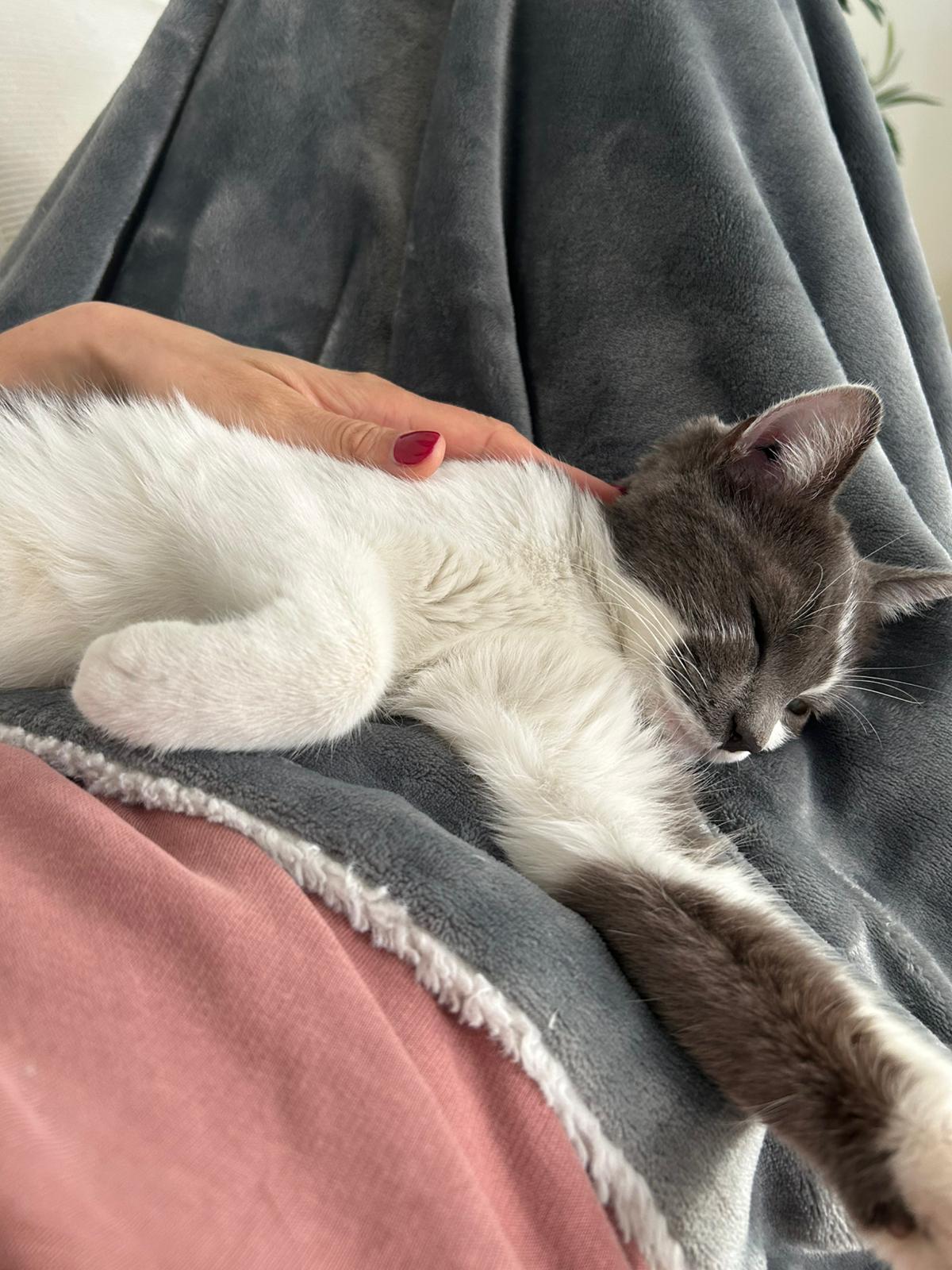 WhatsApp Image 2026-02-01 at 10.53.22 (1)