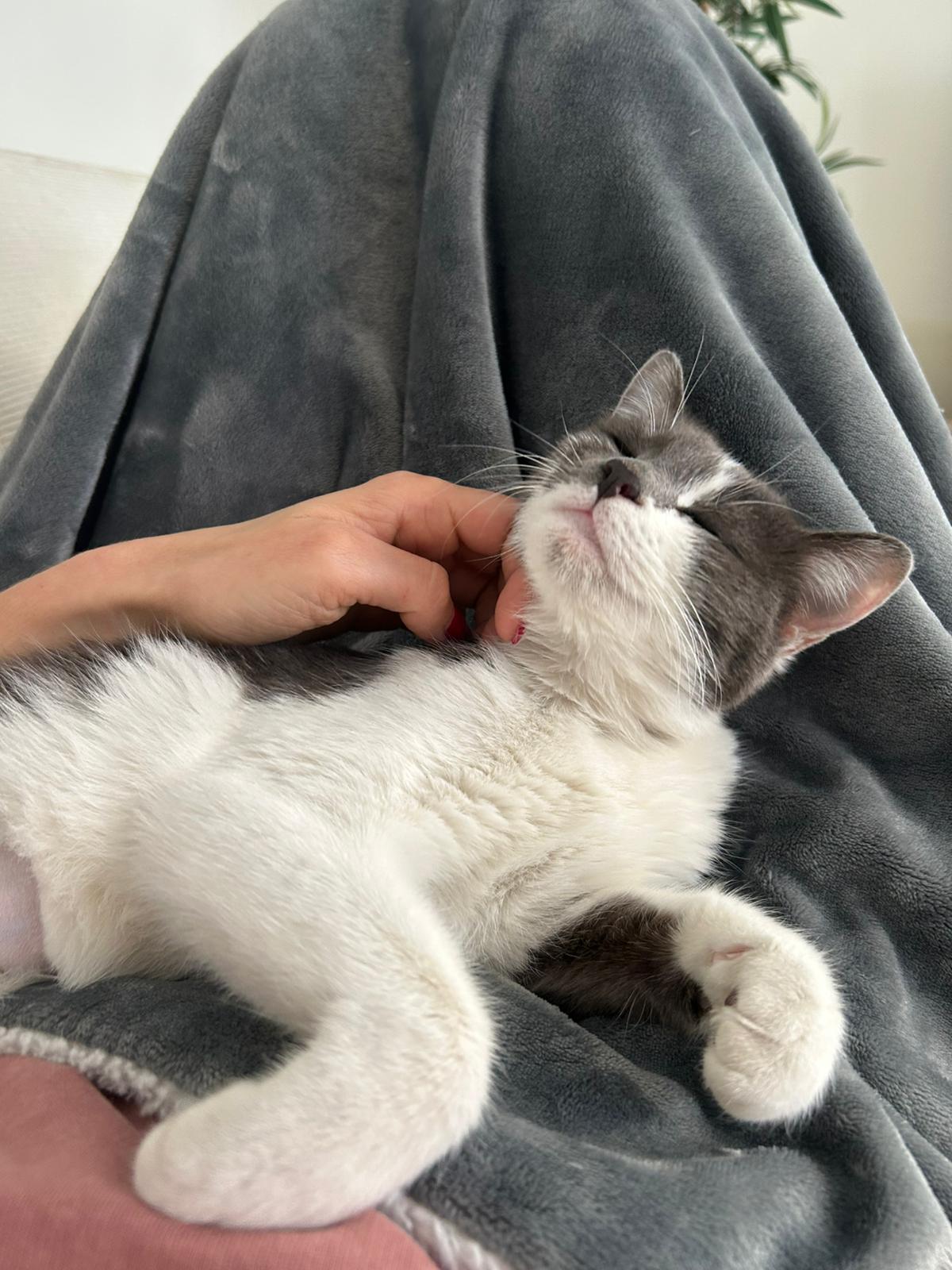 WhatsApp Image 2026-02-01 at 10.53.22