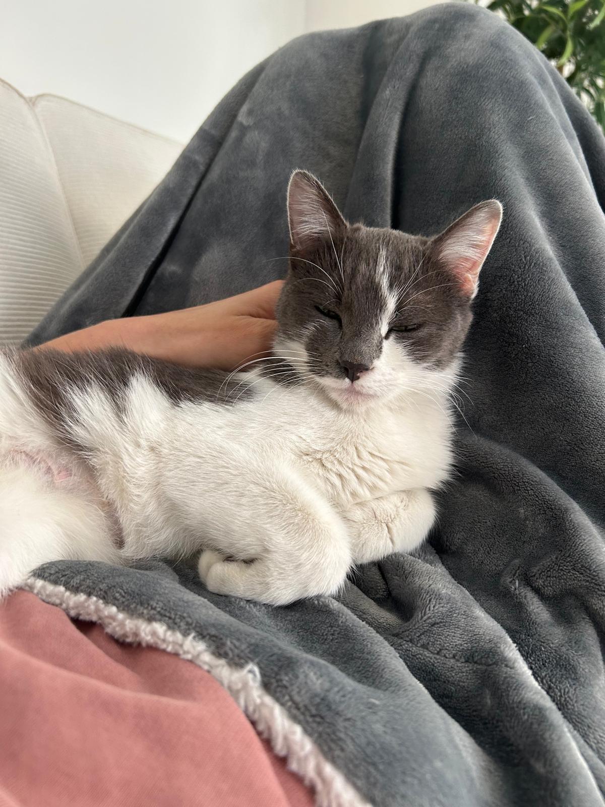 WhatsApp Image 2026-02-01 at 10.53.29