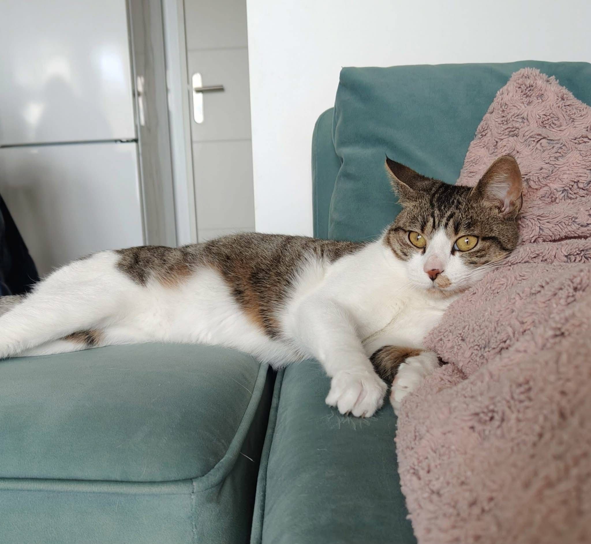 WhatsApp Image 2026-02-06 at 11.47.39 (2)