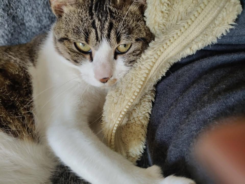 WhatsApp Image 2026-02-06 at 11.47.39 (3)