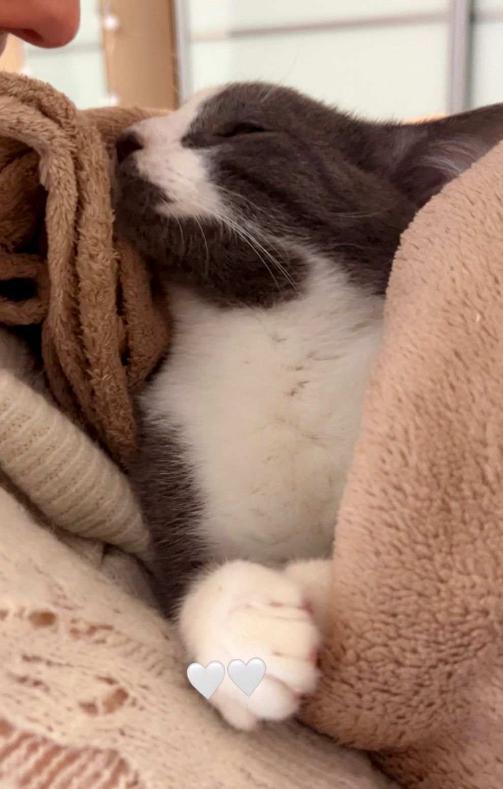 WhatsApp Image 2026-02-09 at 22.46.23 (2)