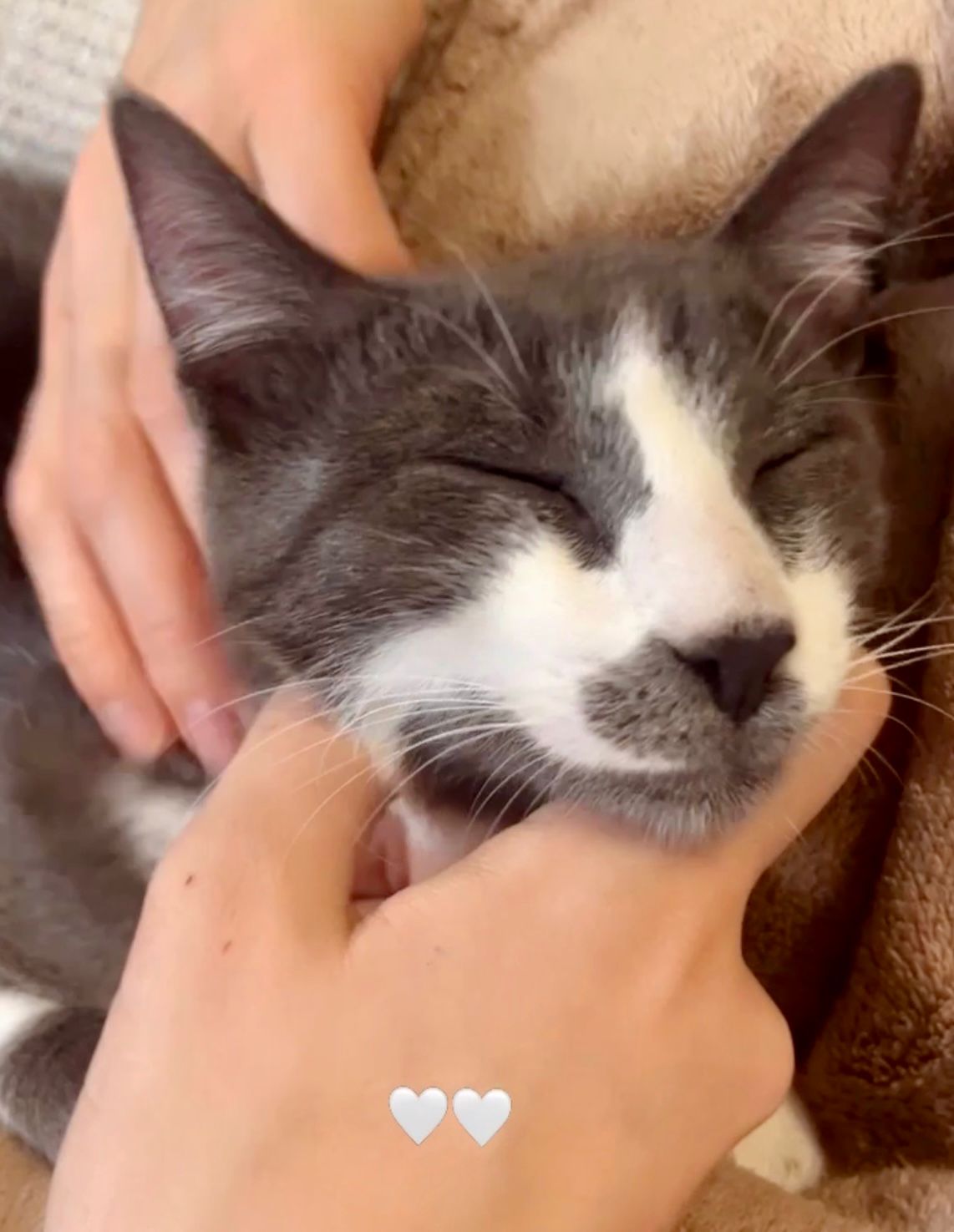 WhatsApp Image 2026-02-09 at 22.46.23