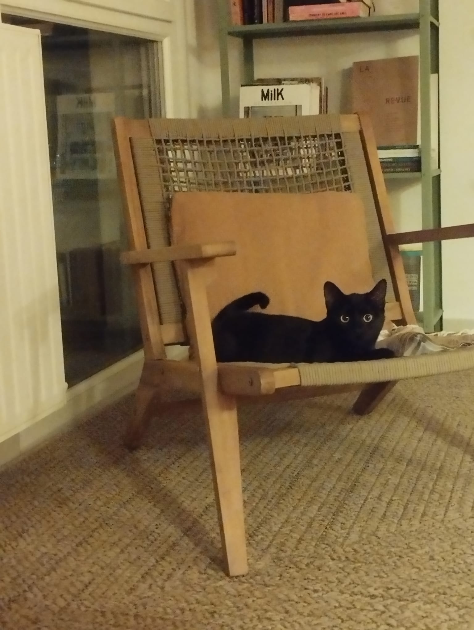 WhatsApp Image 2026-02-13 at 10.15.14