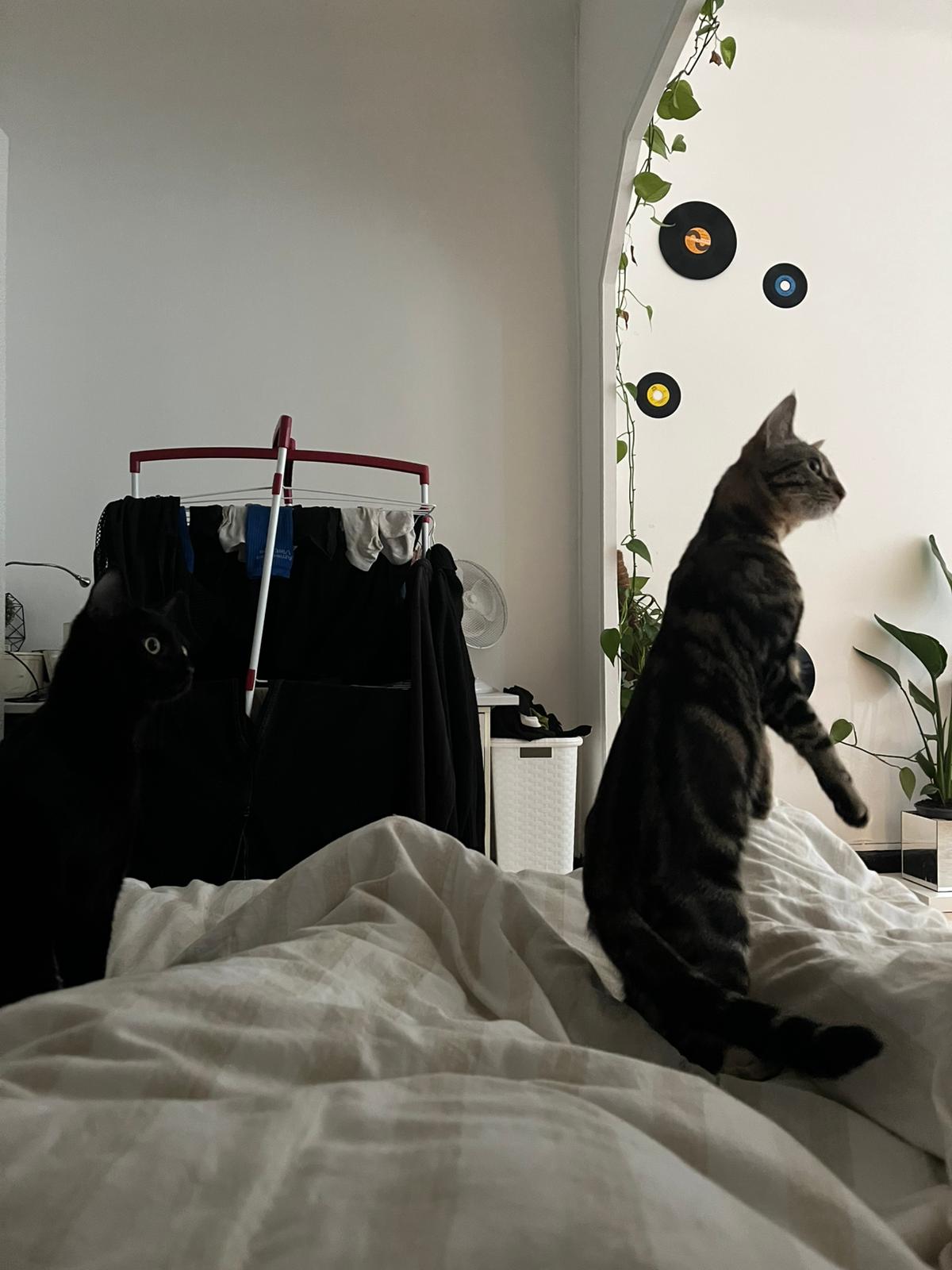 WhatsApp Image 2026-02-13 at 12.27.10 (1)