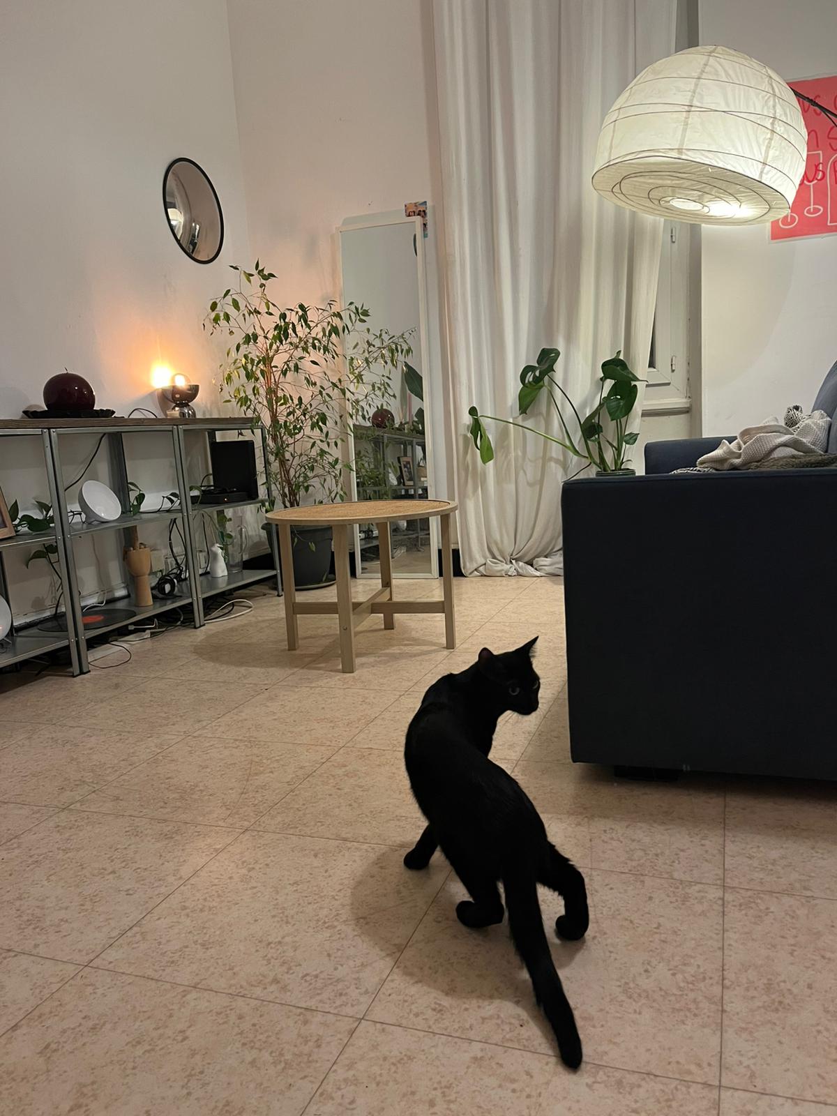 WhatsApp Image 2026-02-13 at 12.27.11