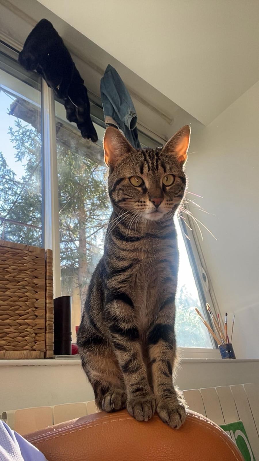 WhatsApp Image 2026-02-24 at 11.04.35