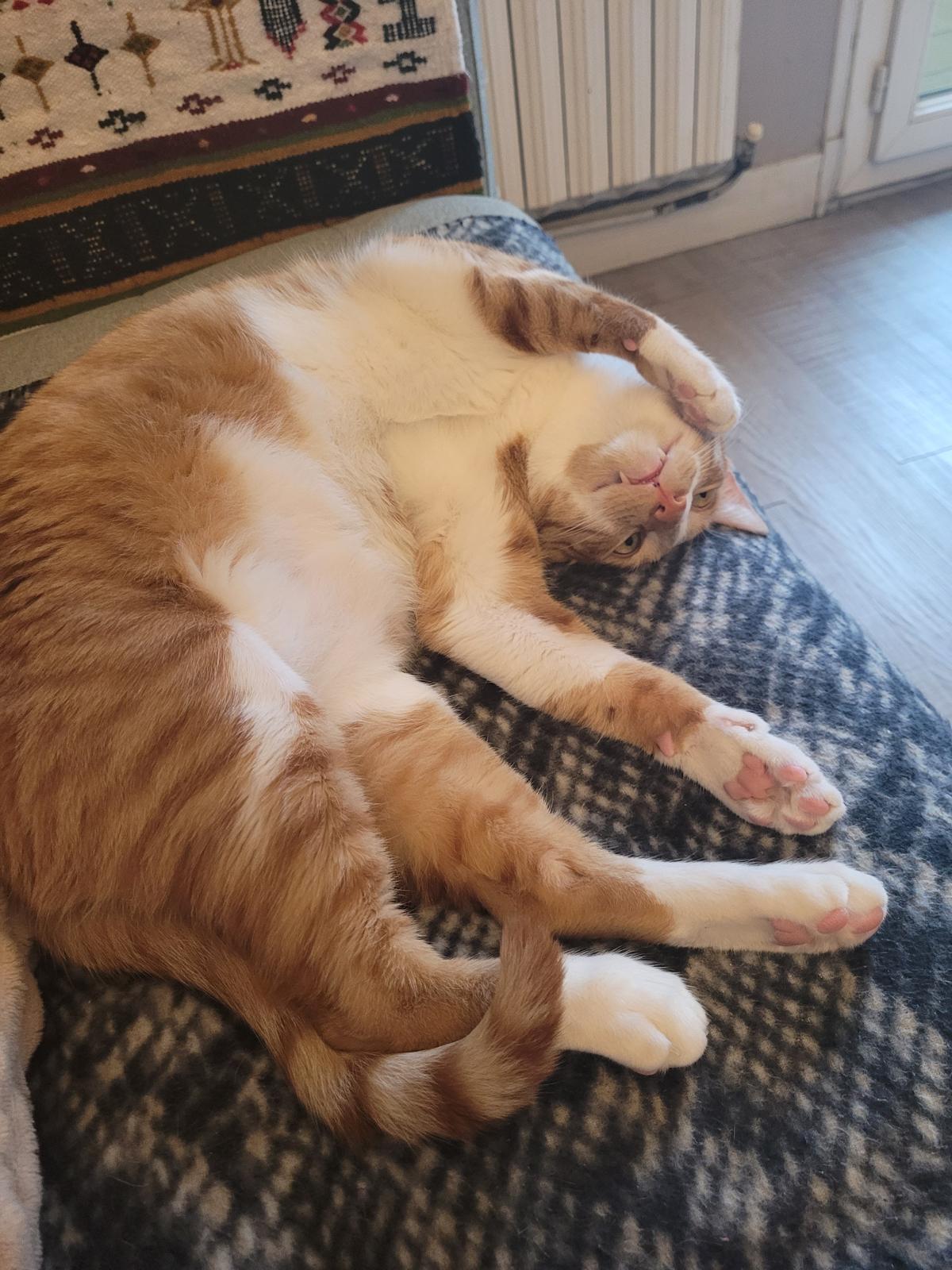 WhatsApp Image 2026-02-24 at 17.47.35