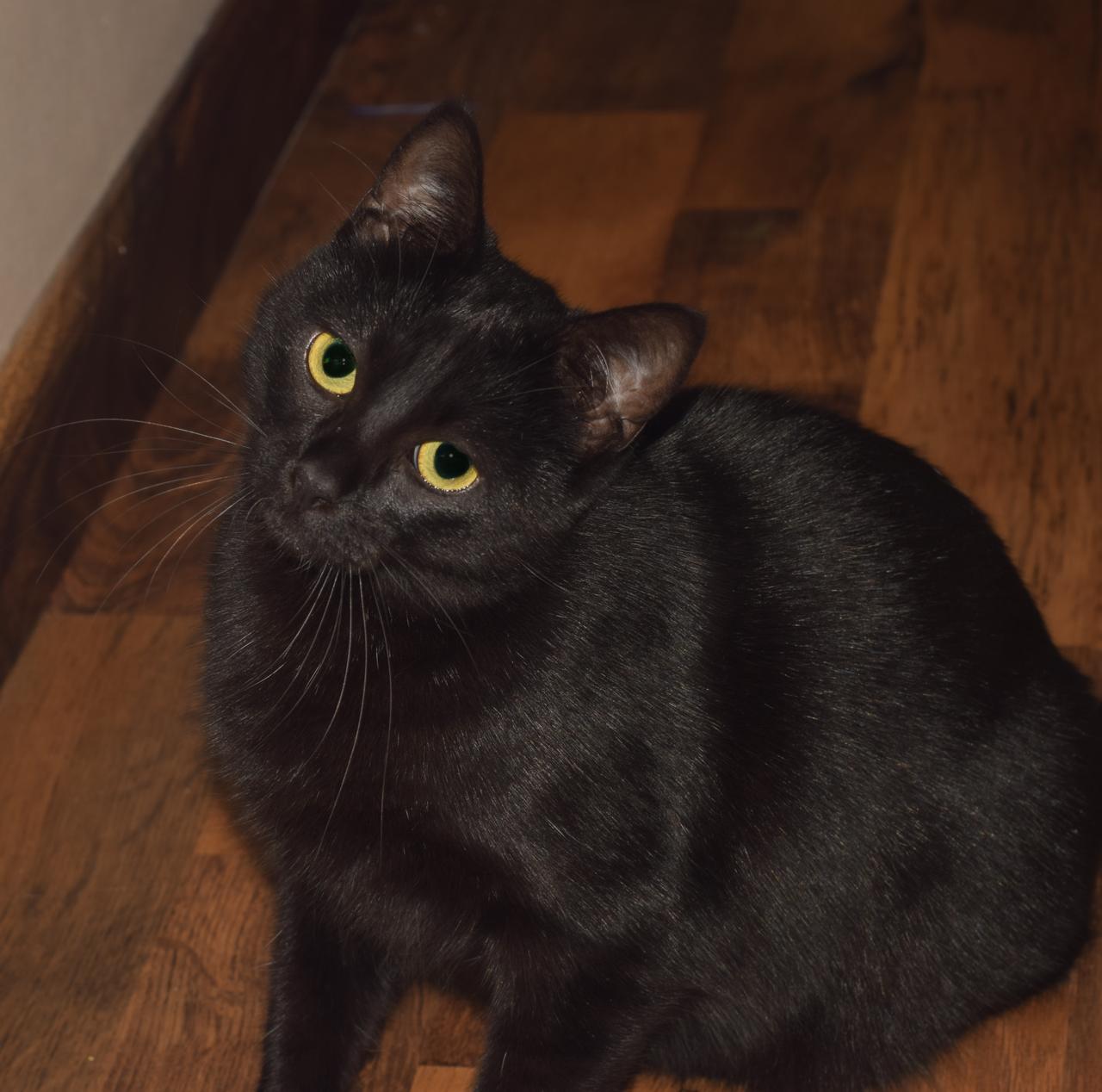 WhatsApp Image 2026-02-20 at 11.36.31 (1)