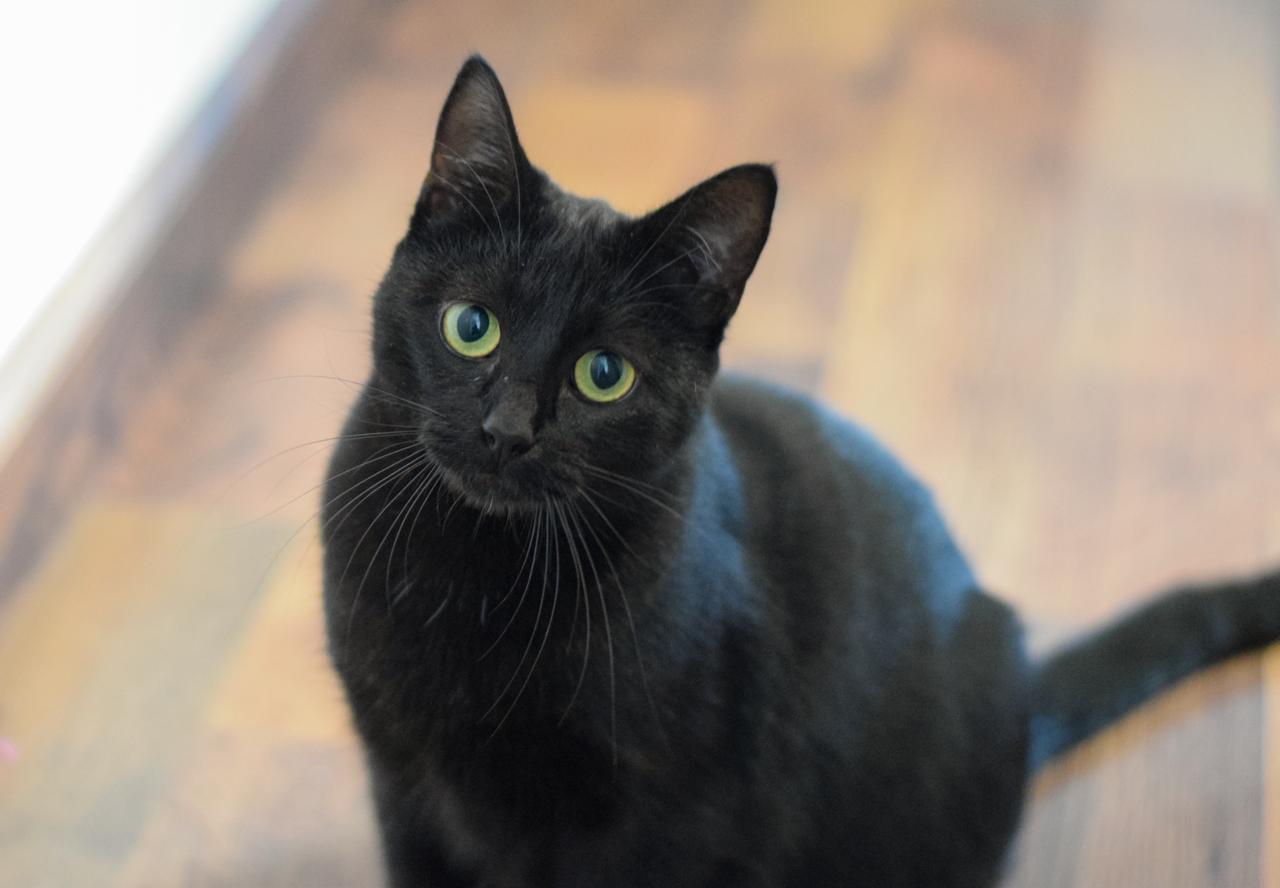 WhatsApp Image 2026-02-20 at 11.36.31 (2)