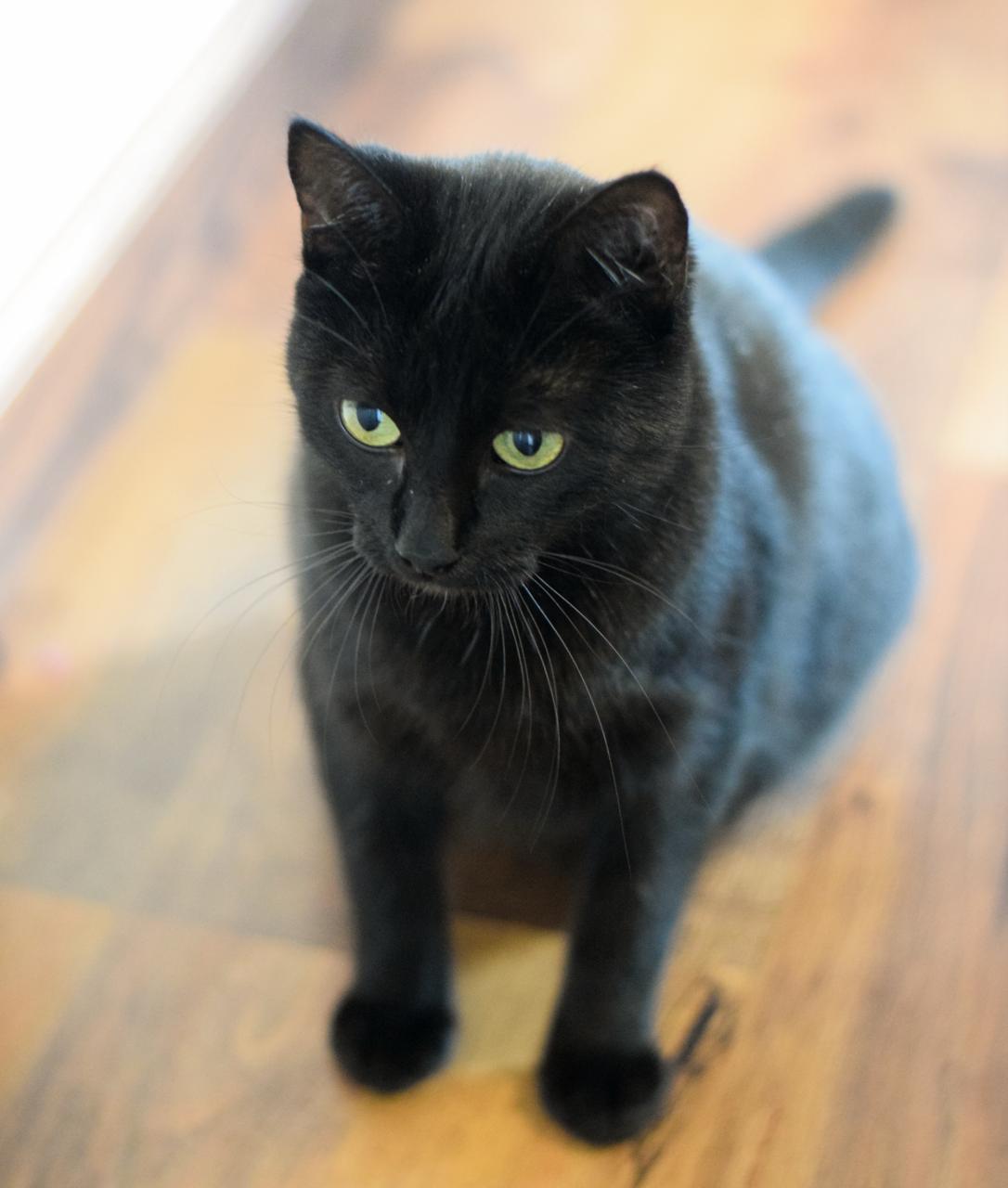 WhatsApp Image 2026-02-20 at 11.36.31 (3)