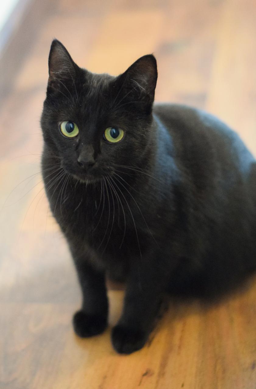 WhatsApp Image 2026-02-20 at 11.36.31