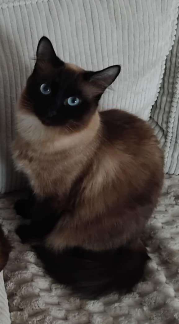 WhatsApp Image 2026-02-28 at 17.37.20 (1)