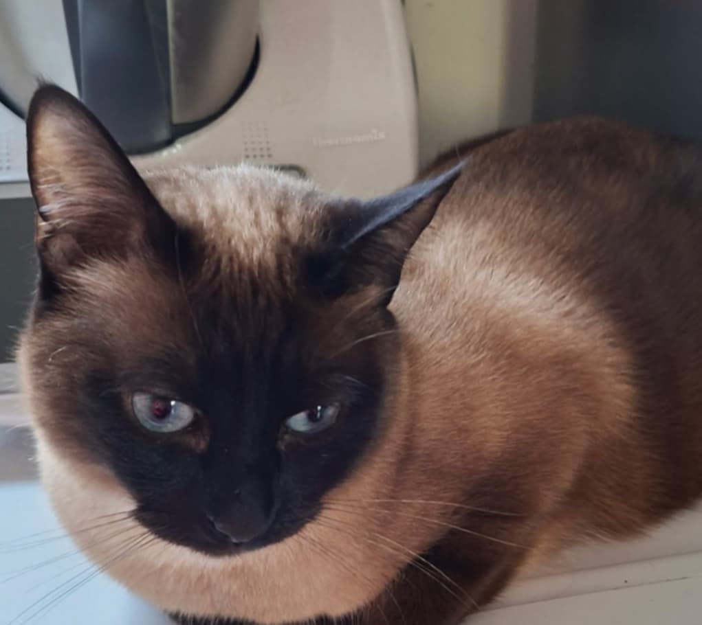 WhatsApp Image 2026-02-28 at 17.37.20