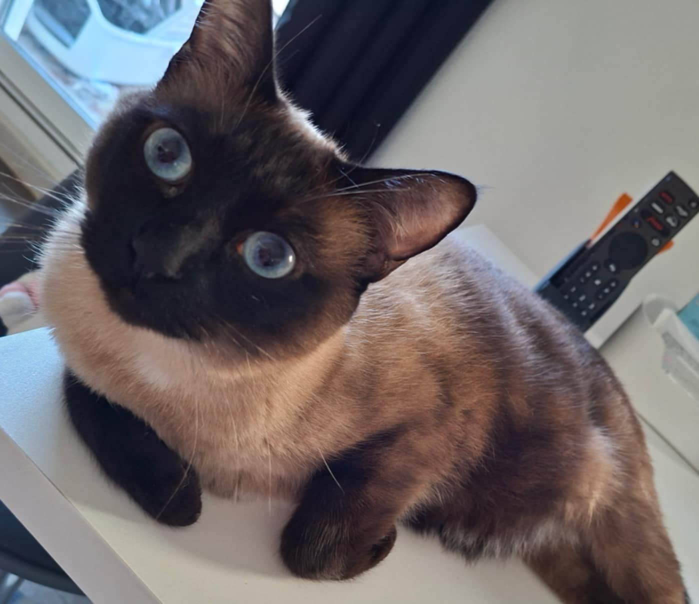 WhatsApp Image 2026-02-28 at 17.37.21 (1)