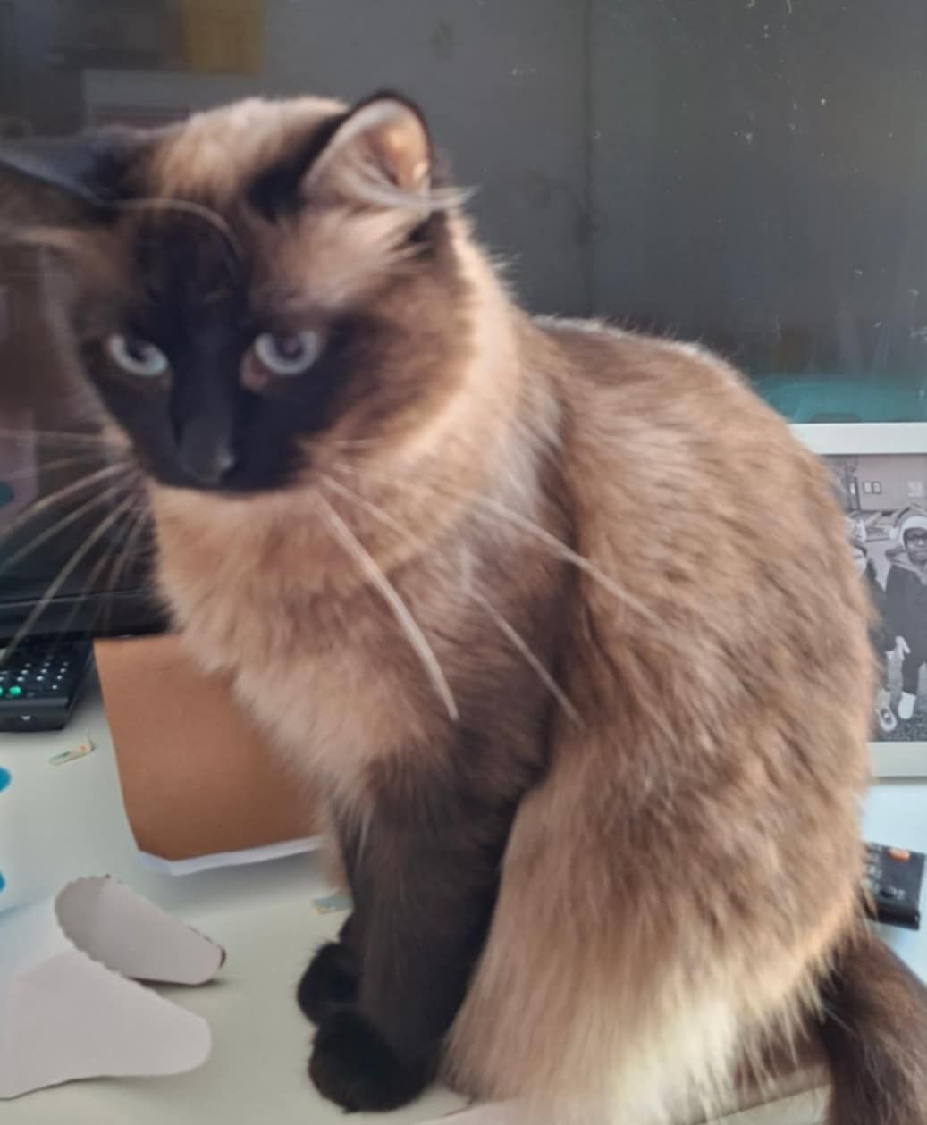 WhatsApp Image 2026-02-28 at 17.37.21 (2)