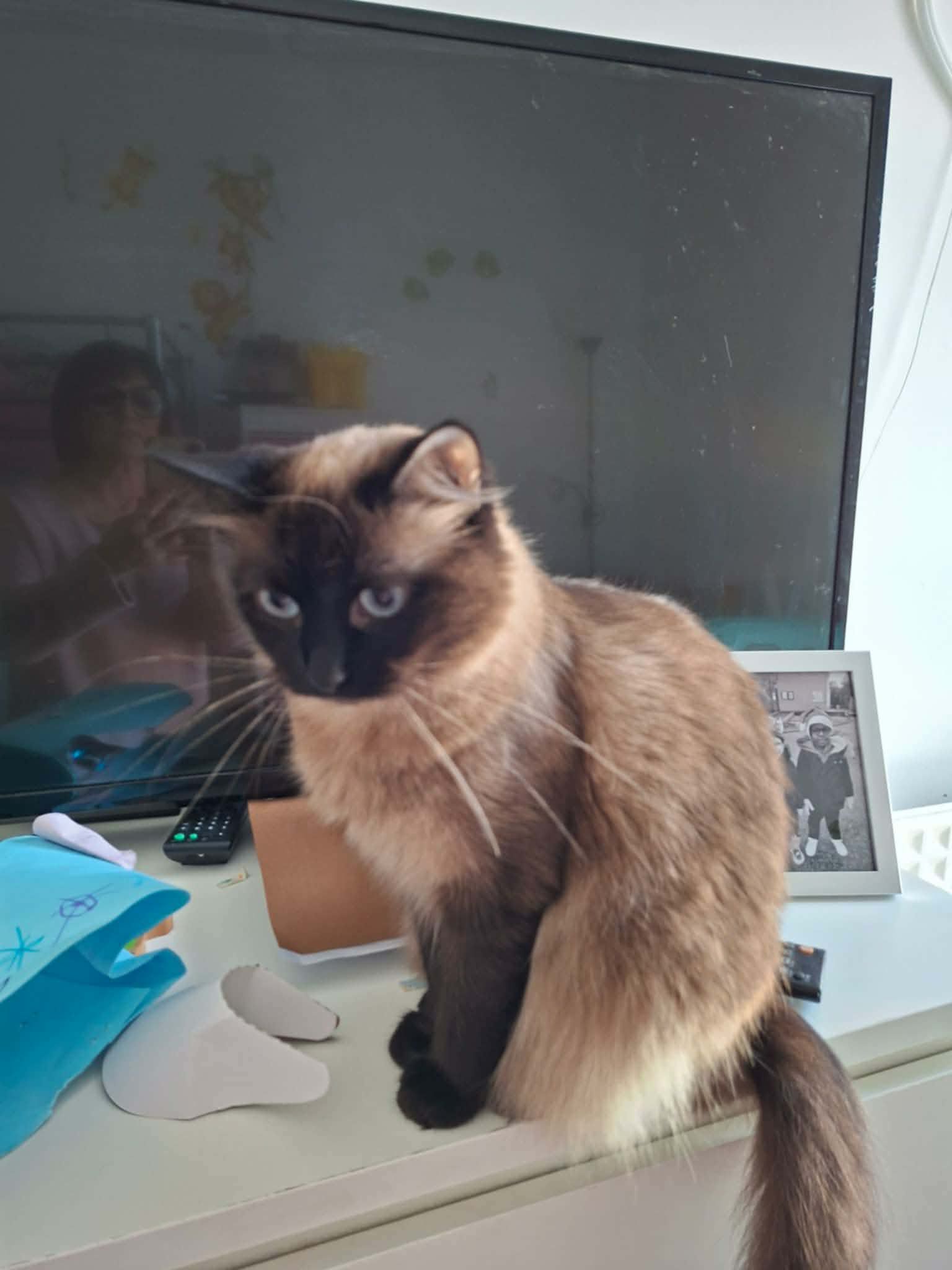 WhatsApp Image 2026-02-28 at 17.37.21 (4)