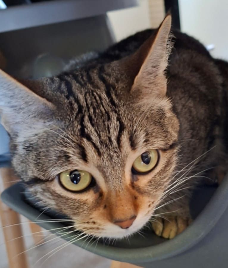 WhatsApp Image 2026-02-28 at 17.37.21