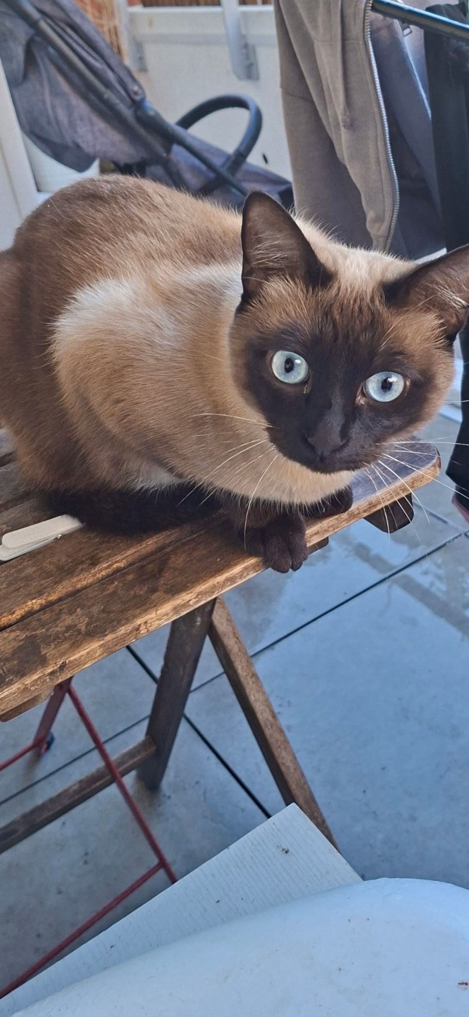 WhatsApp Image 2026-02-28 at 18.55.36