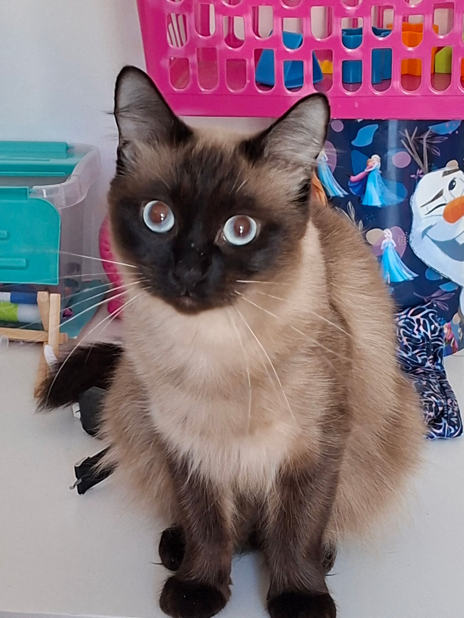 WhatsApp Image 2026-02-28 at 18.58.51