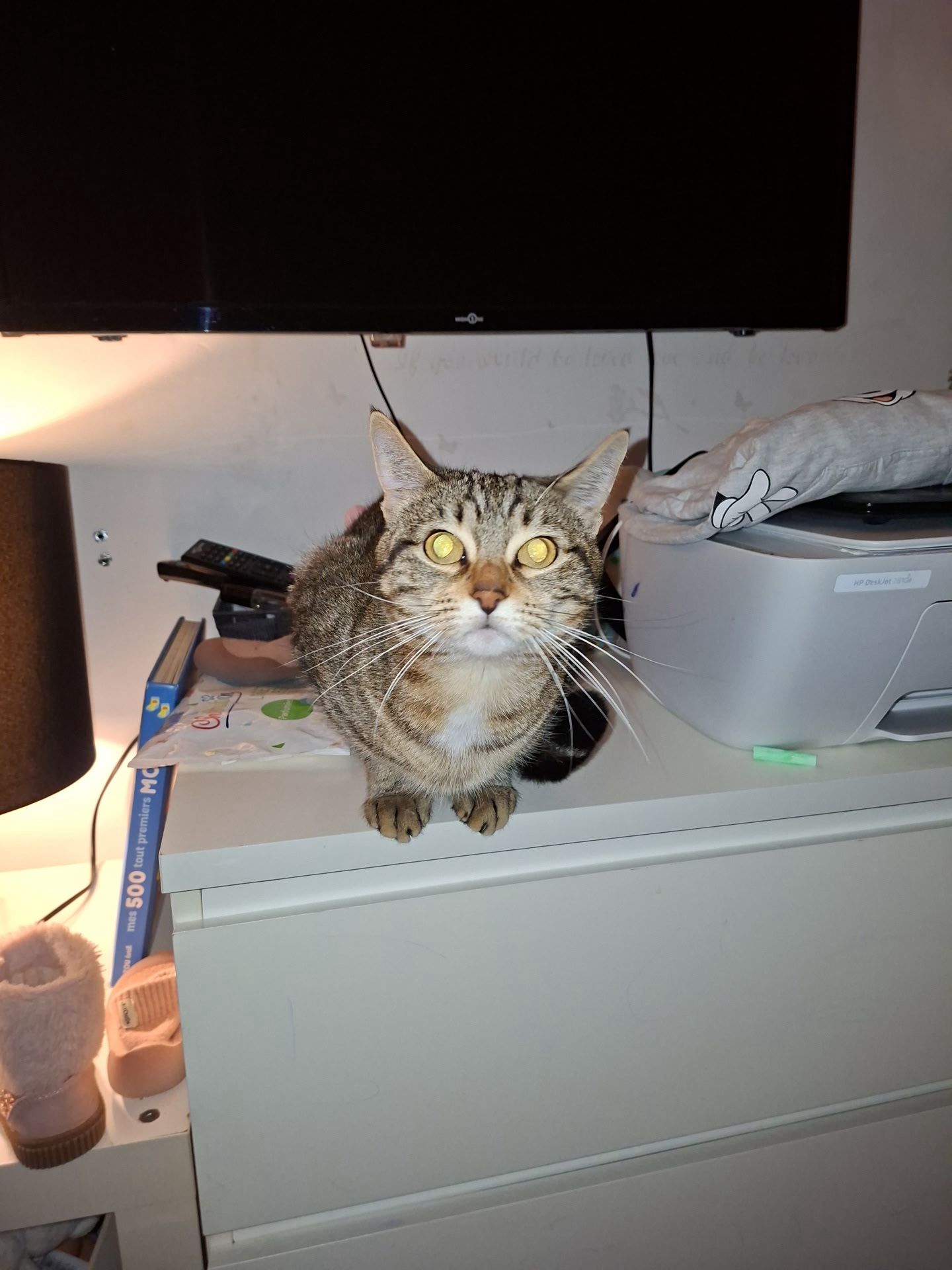 WhatsApp Image 2026-02-28 at 18.59.40