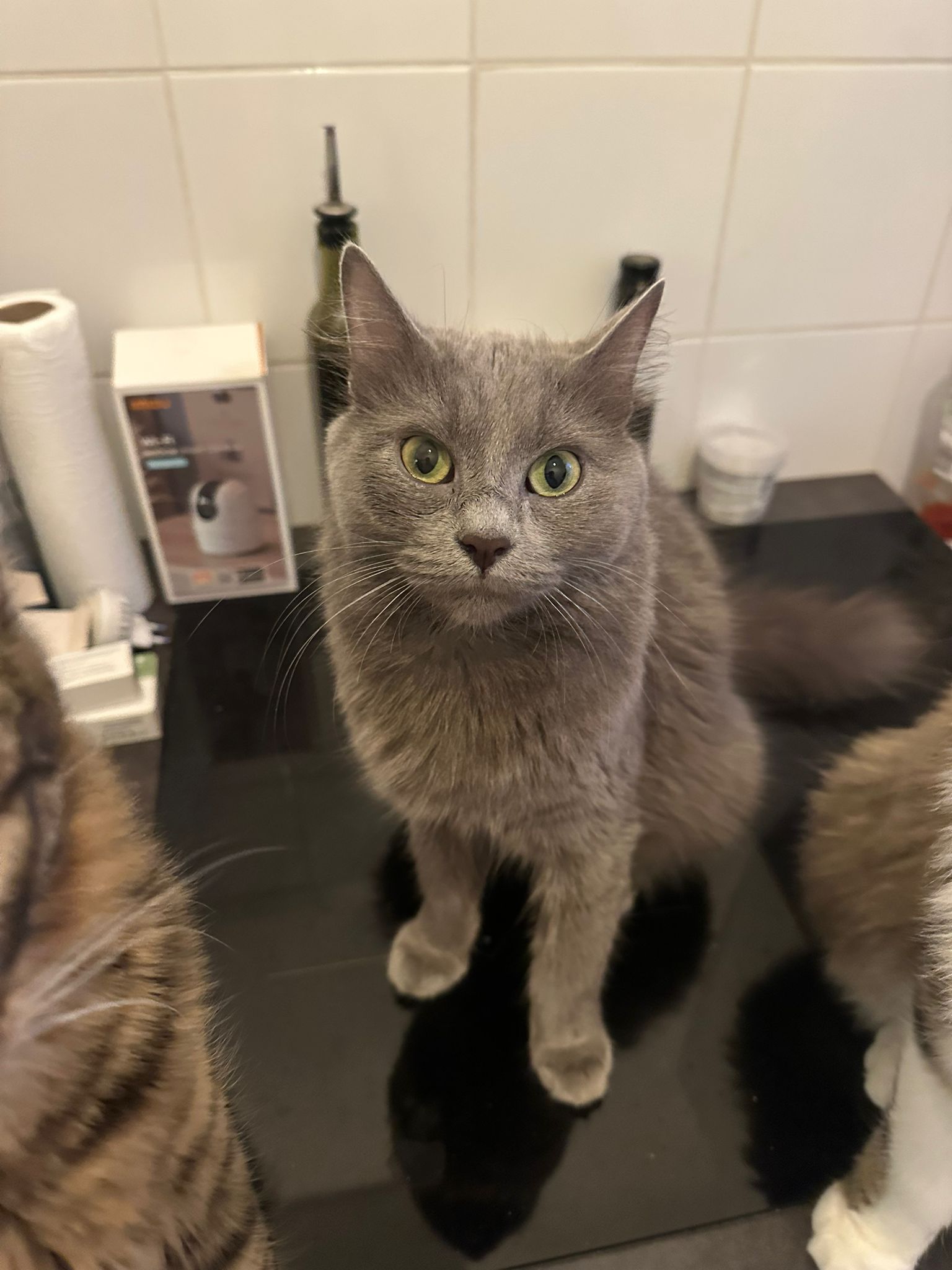 WhatsApp Image 2026-03-07 at 20.47.50