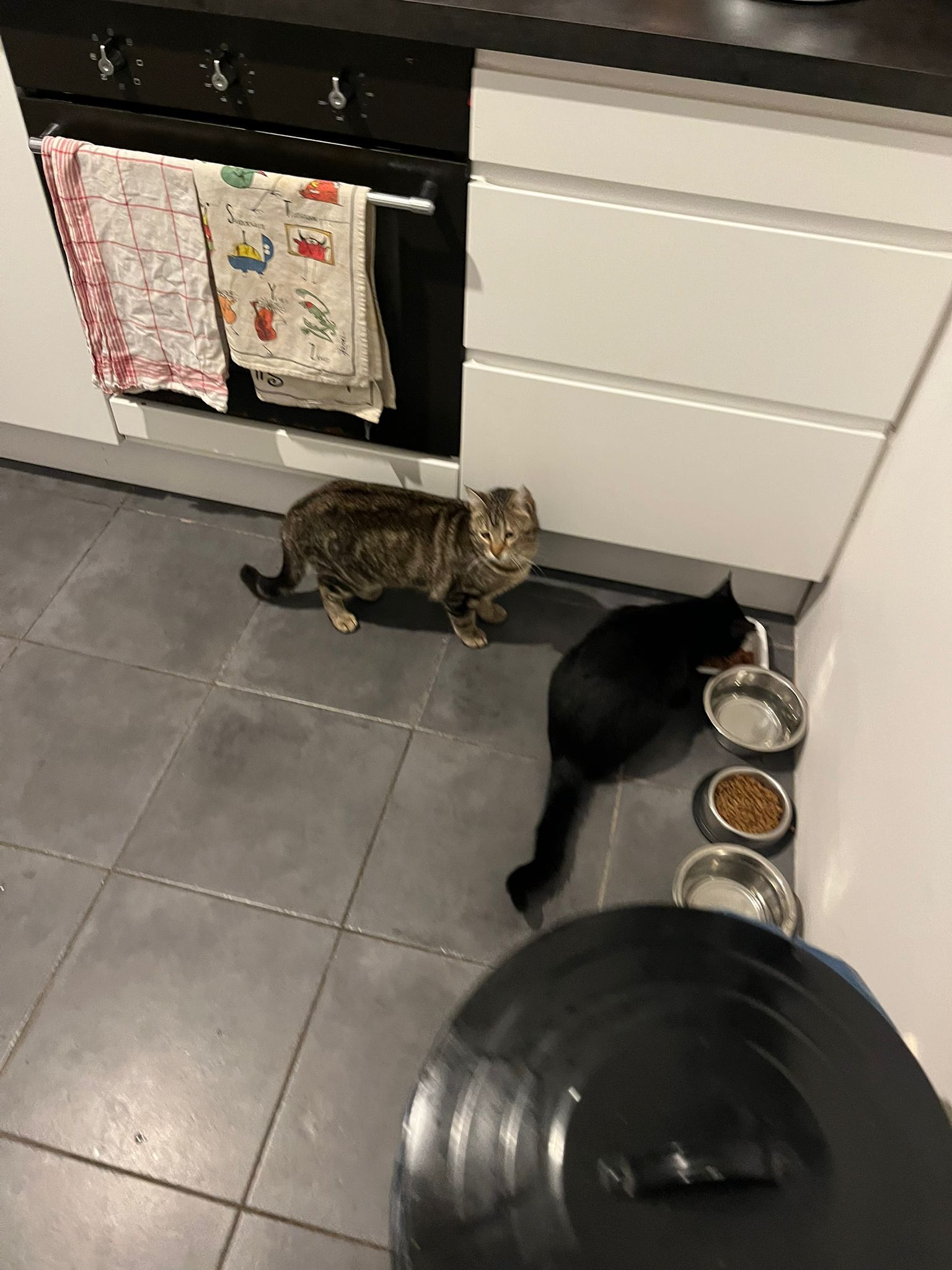 WhatsApp Image 2026-03-09 at 16.24.03 (1)