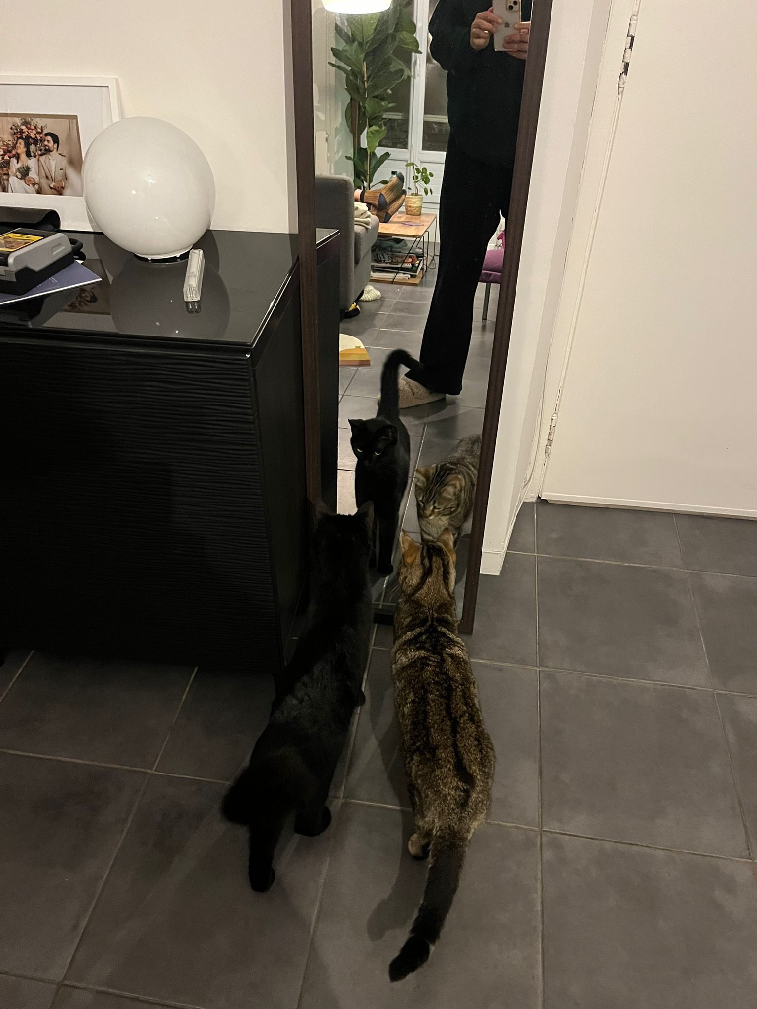 WhatsApp Image 2026-03-09 at 16.24.03