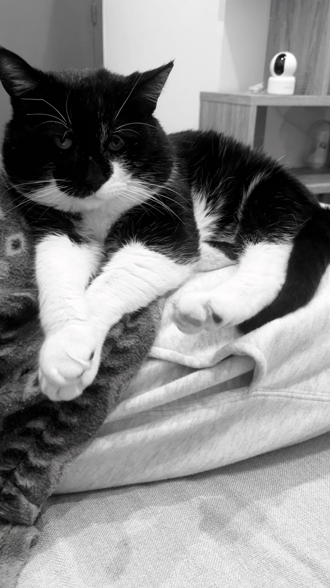 WhatsApp Image 2026-03-11 at 14.21.14