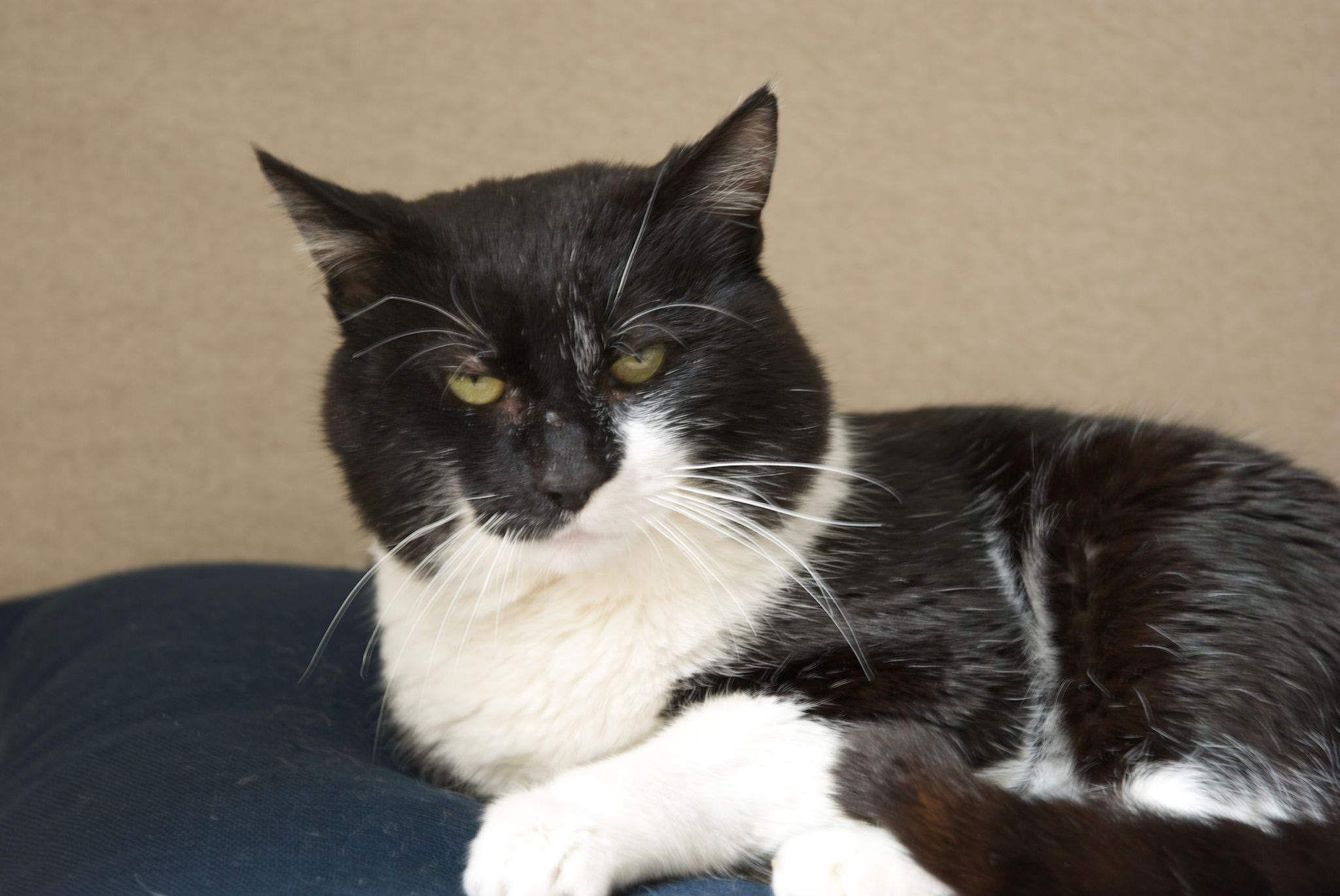 WhatsApp Image 2026-03-11 at 14.21.15 (1)