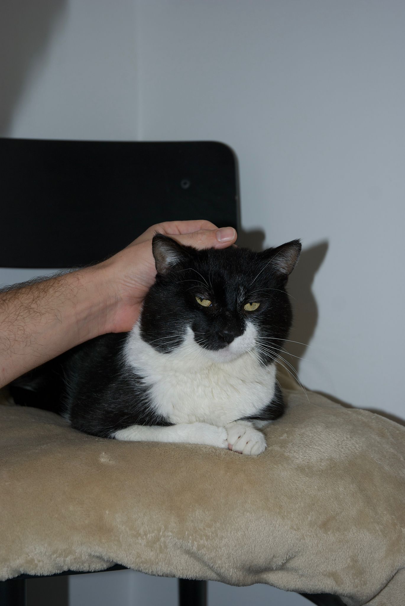 WhatsApp Image 2026-03-11 at 14.21.15