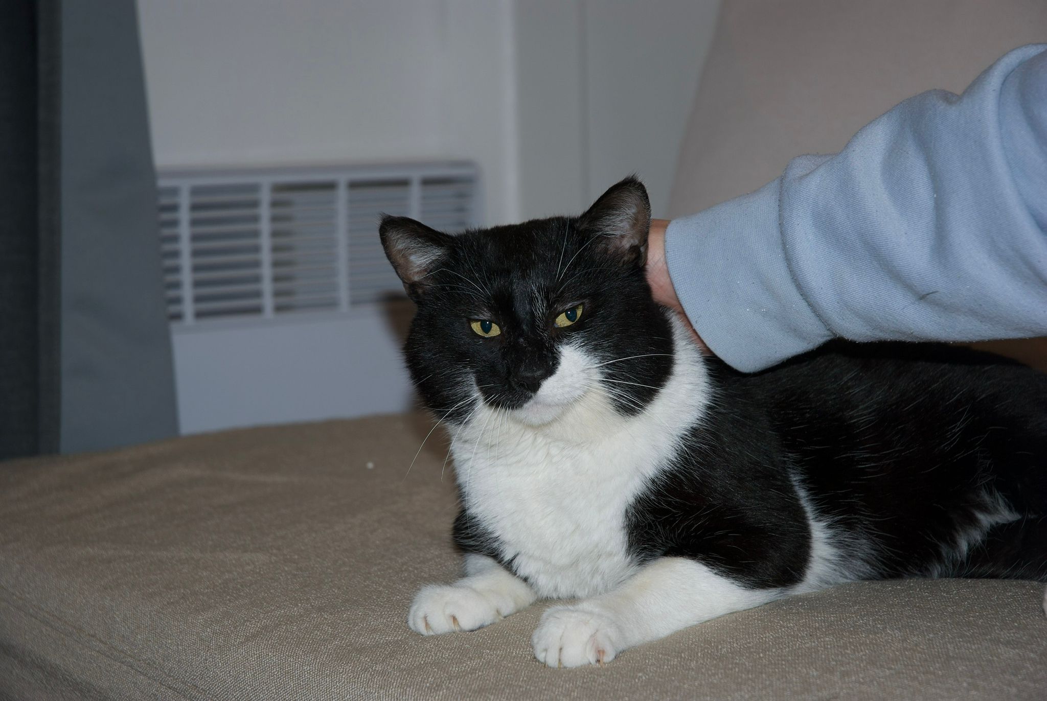 WhatsApp Image 2026-03-11 at 14.21.16