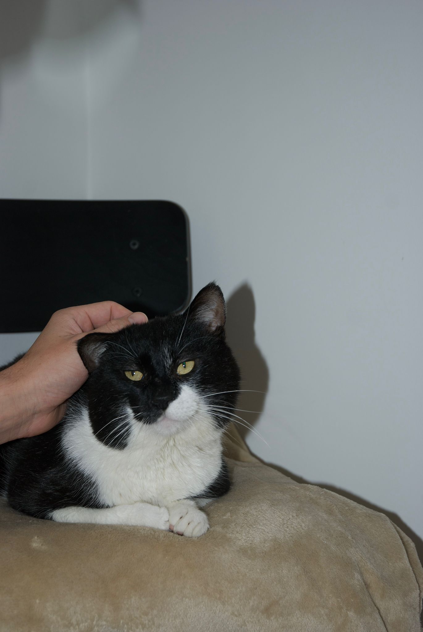 WhatsApp Image 2026-03-11 at 14.21.17