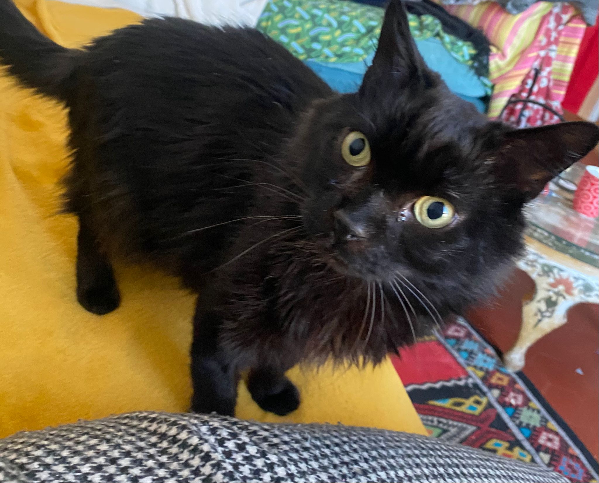 WhatsApp Image 2026-03-17 at 18.59.56 (7)