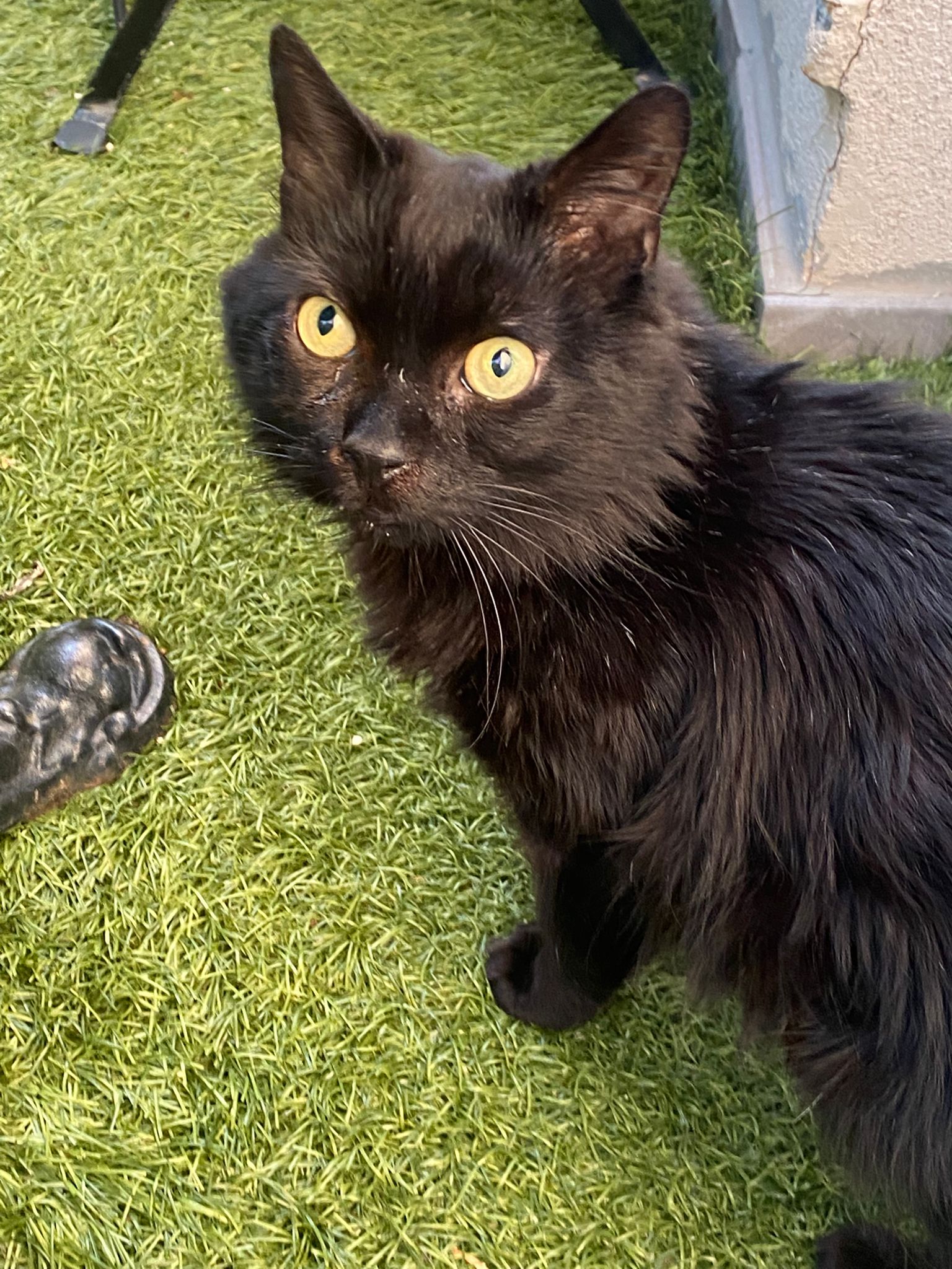 WhatsApp Image 2026-03-17 at 18.59.56 (8)