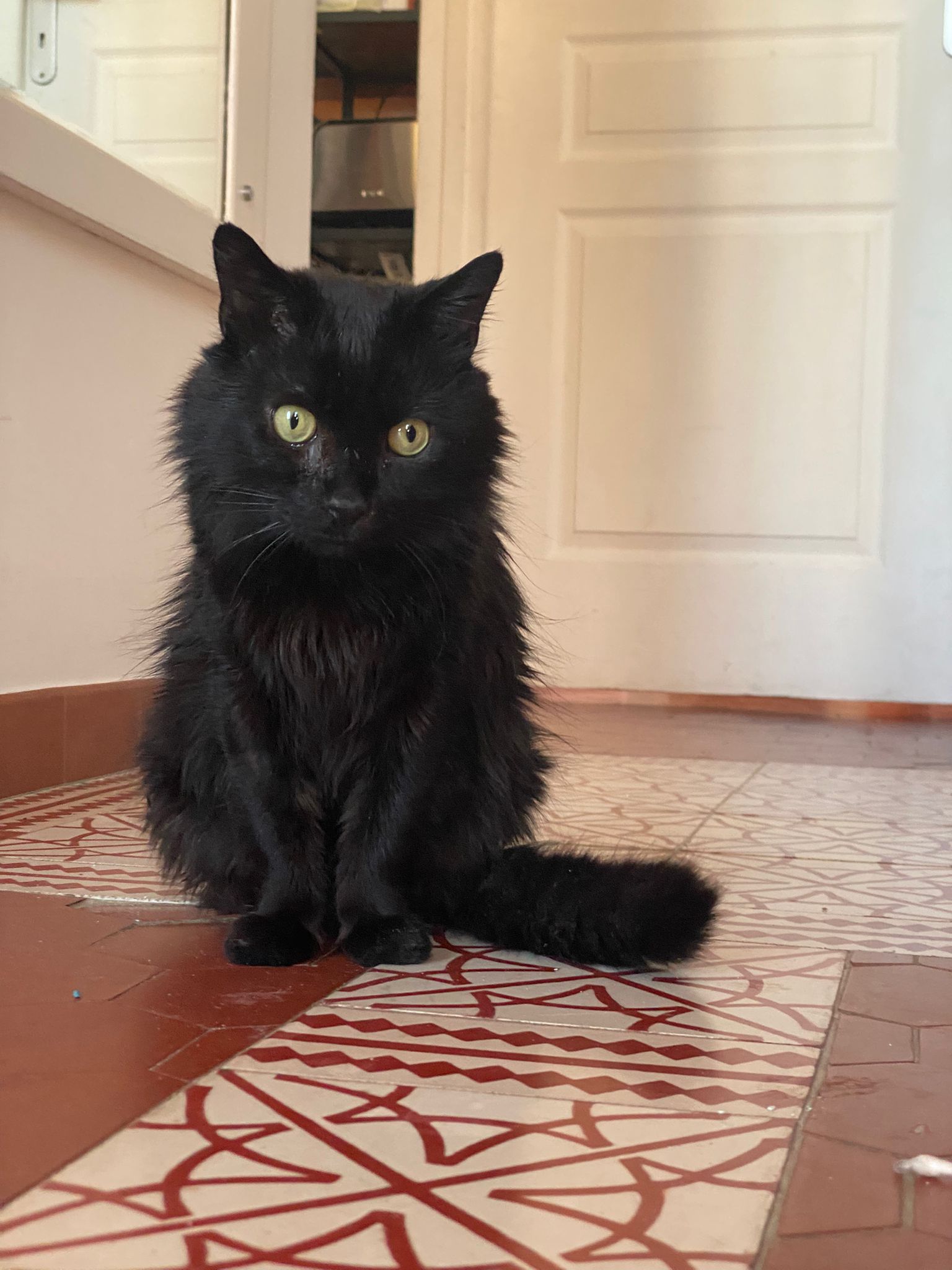 WhatsApp Image 2026-03-17 at 18.59.57 (2)