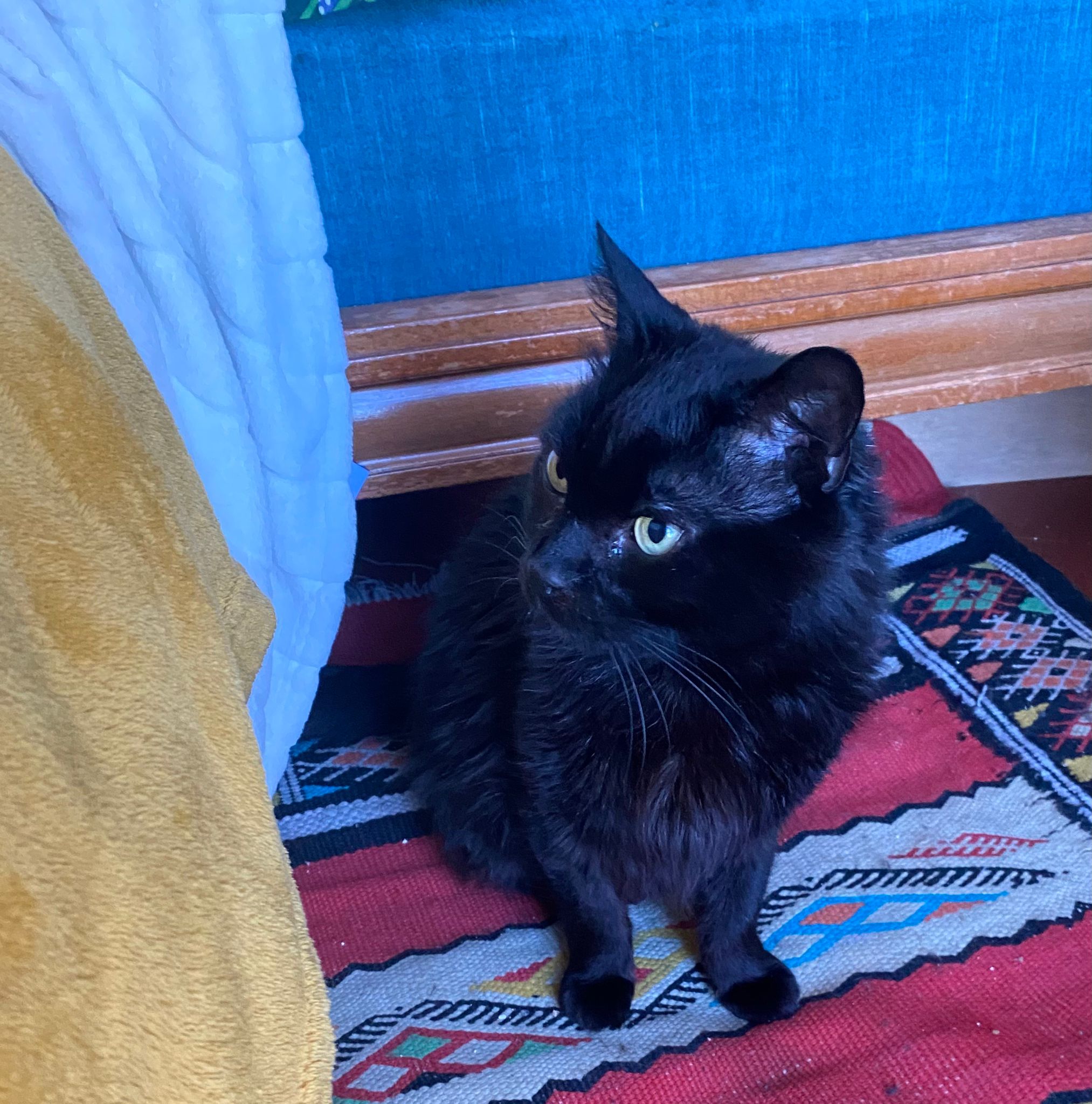 WhatsApp Image 2026-03-17 at 18.59.57 (3)