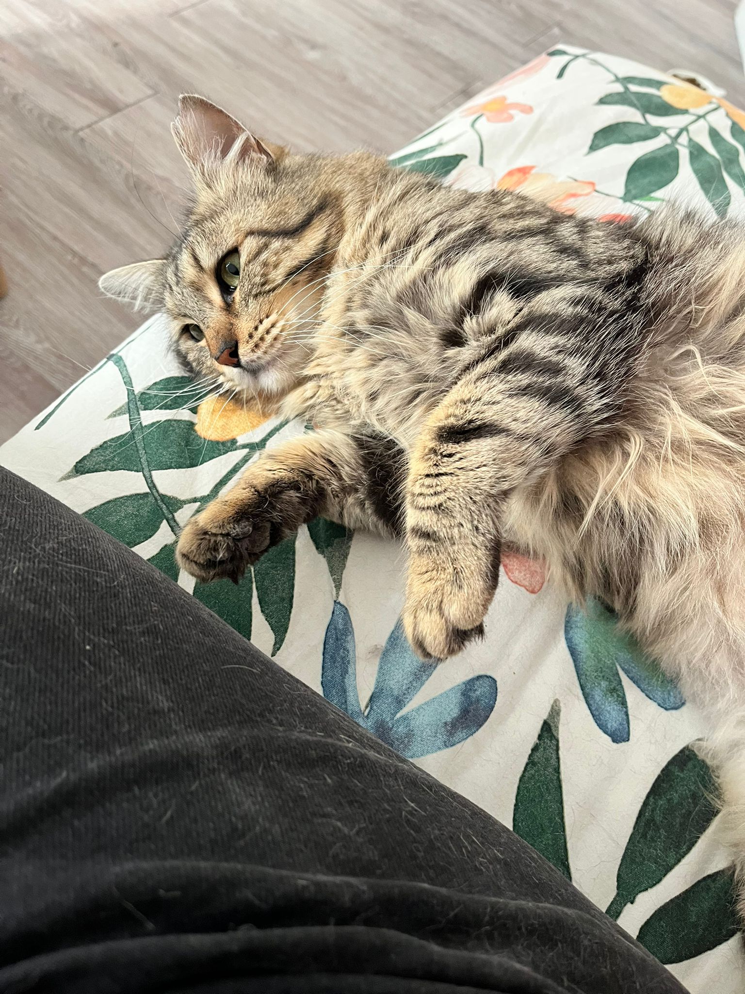 WhatsApp Image 2026-03-18 at 20.09.17 (1)