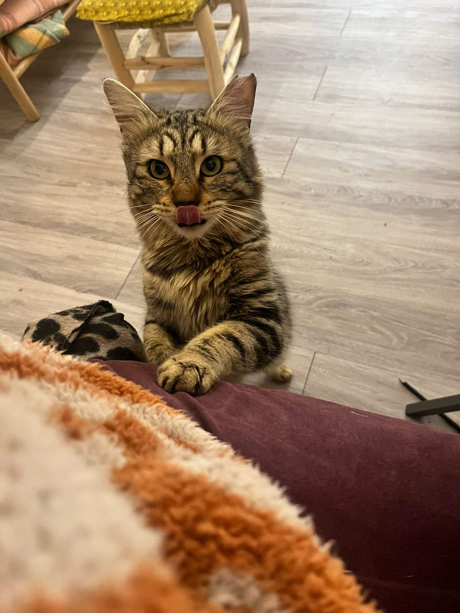 WhatsApp Image 2026-03-18 at 20.09.17