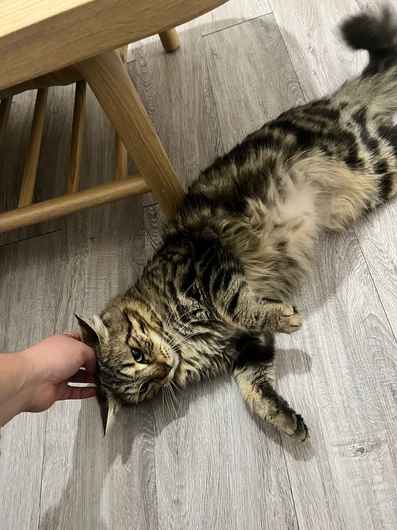 WhatsApp Image 2026-03-18 at 20.09.18