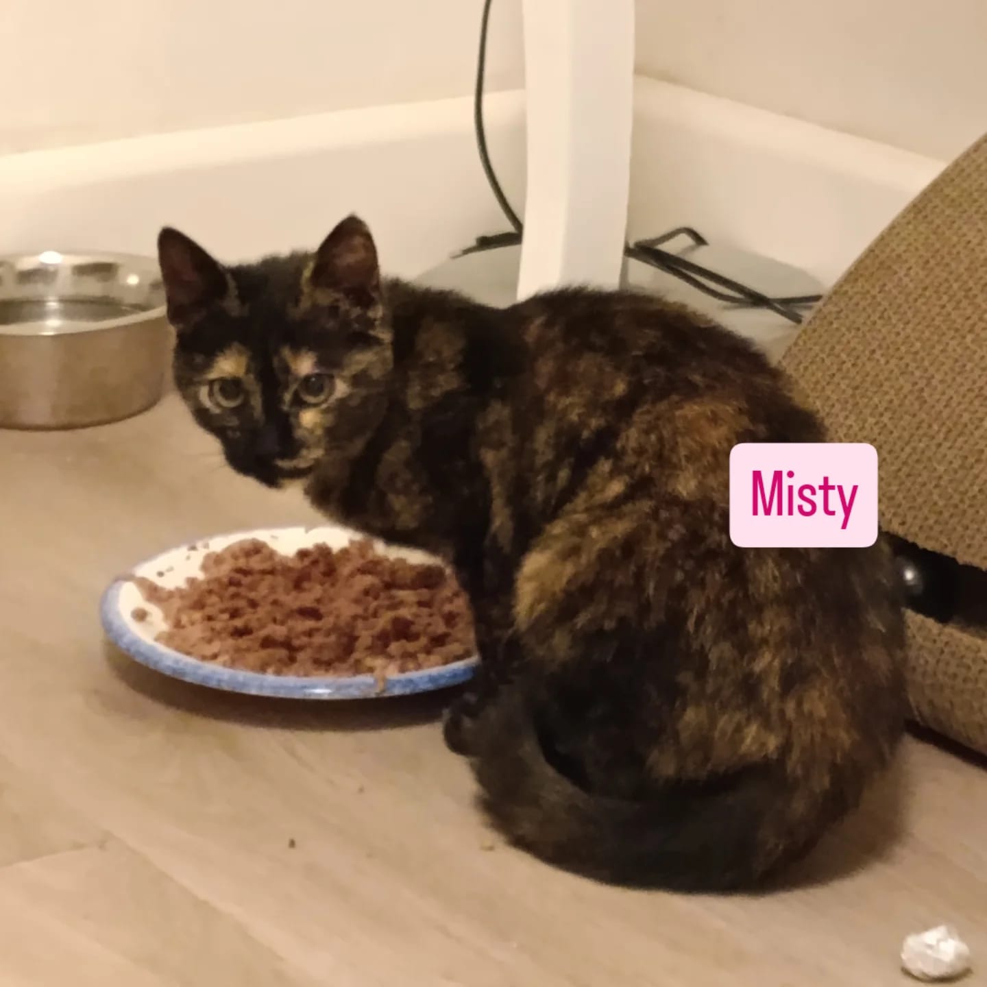 WhatsApp Image 2026-03-19 at 18.14.07 (1)