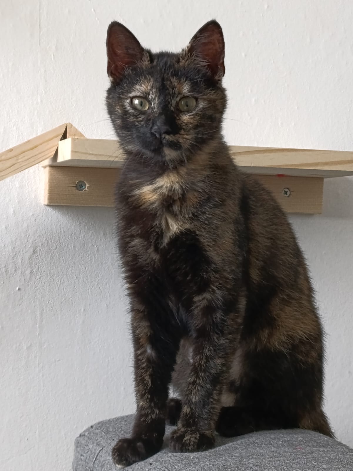 WhatsApp Image 2026-03-19 at 18.14.07 (2)