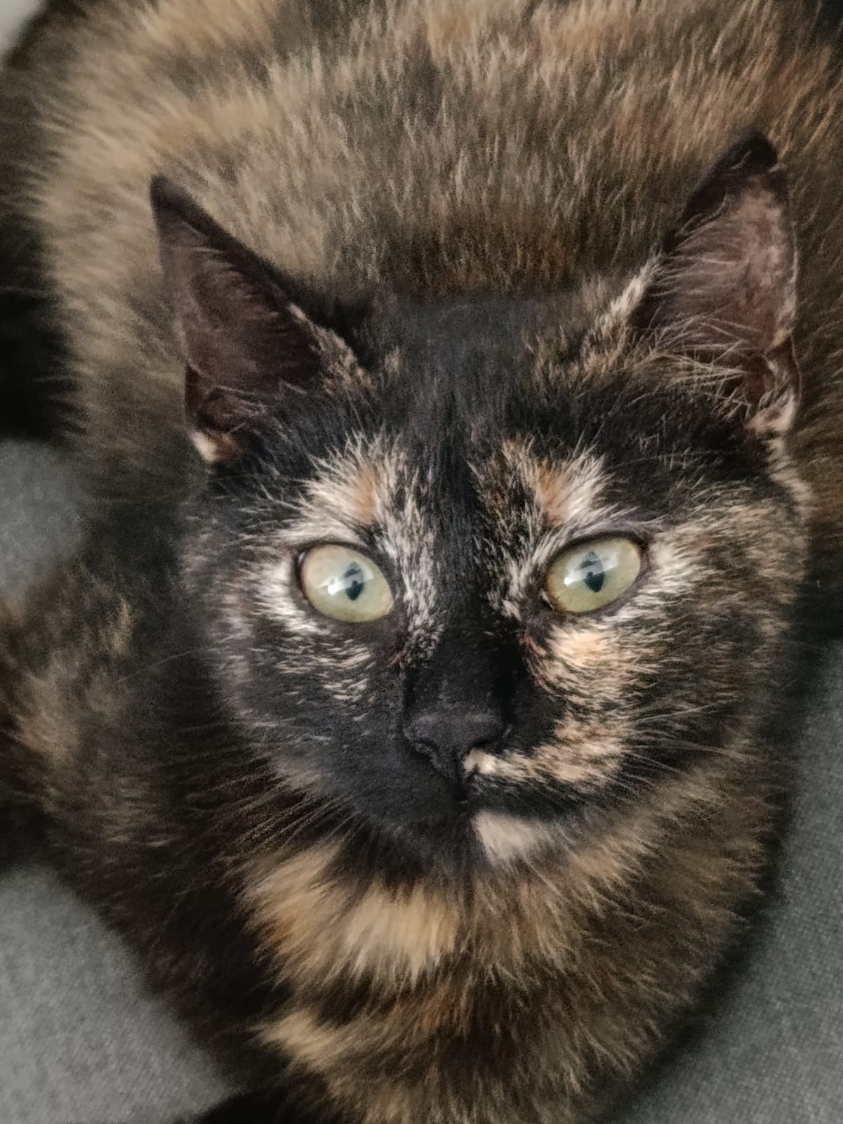 WhatsApp Image 2026-03-19 at 18.14.07