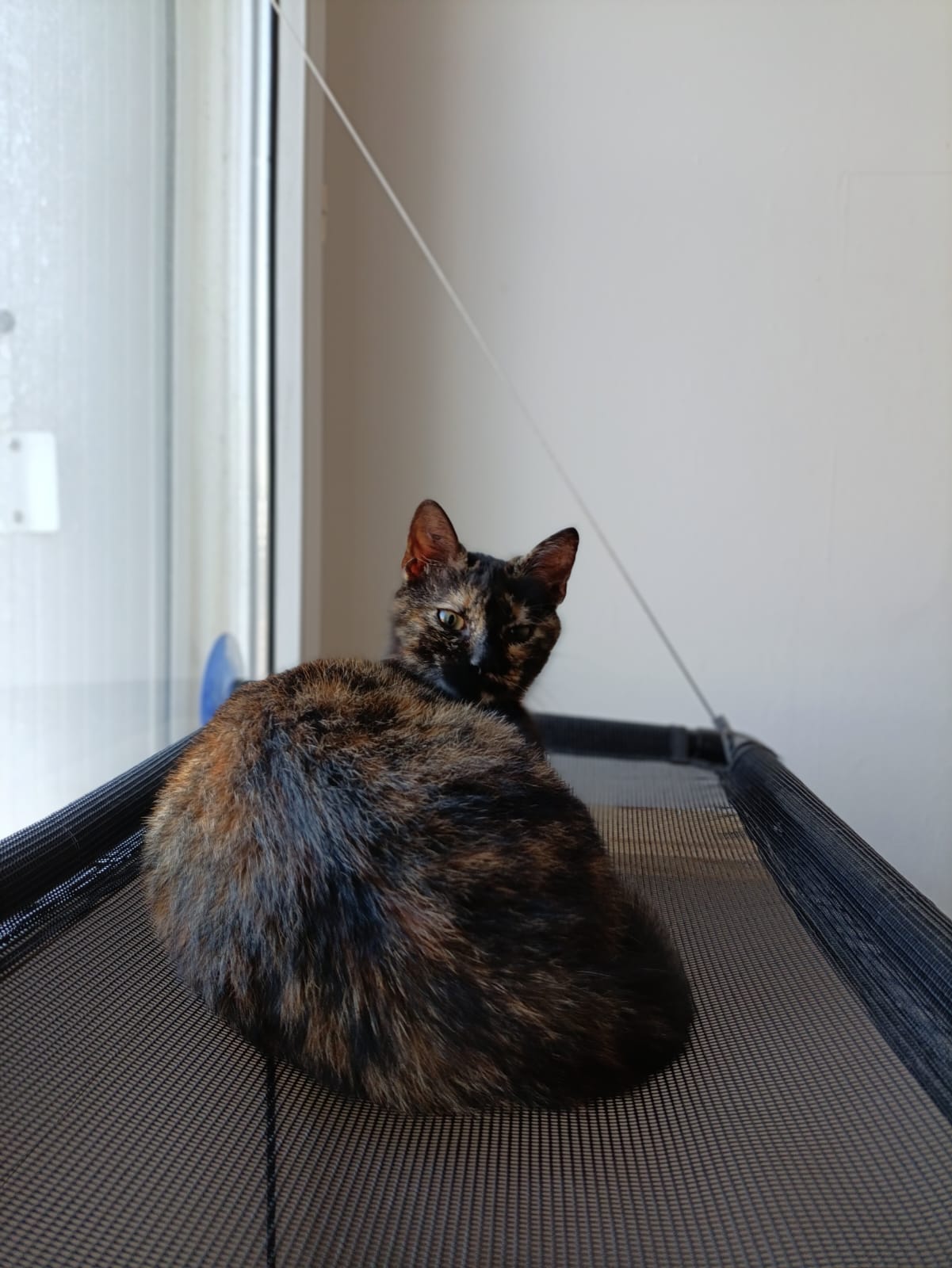 WhatsApp Image 2026-03-19 at 18.14.08