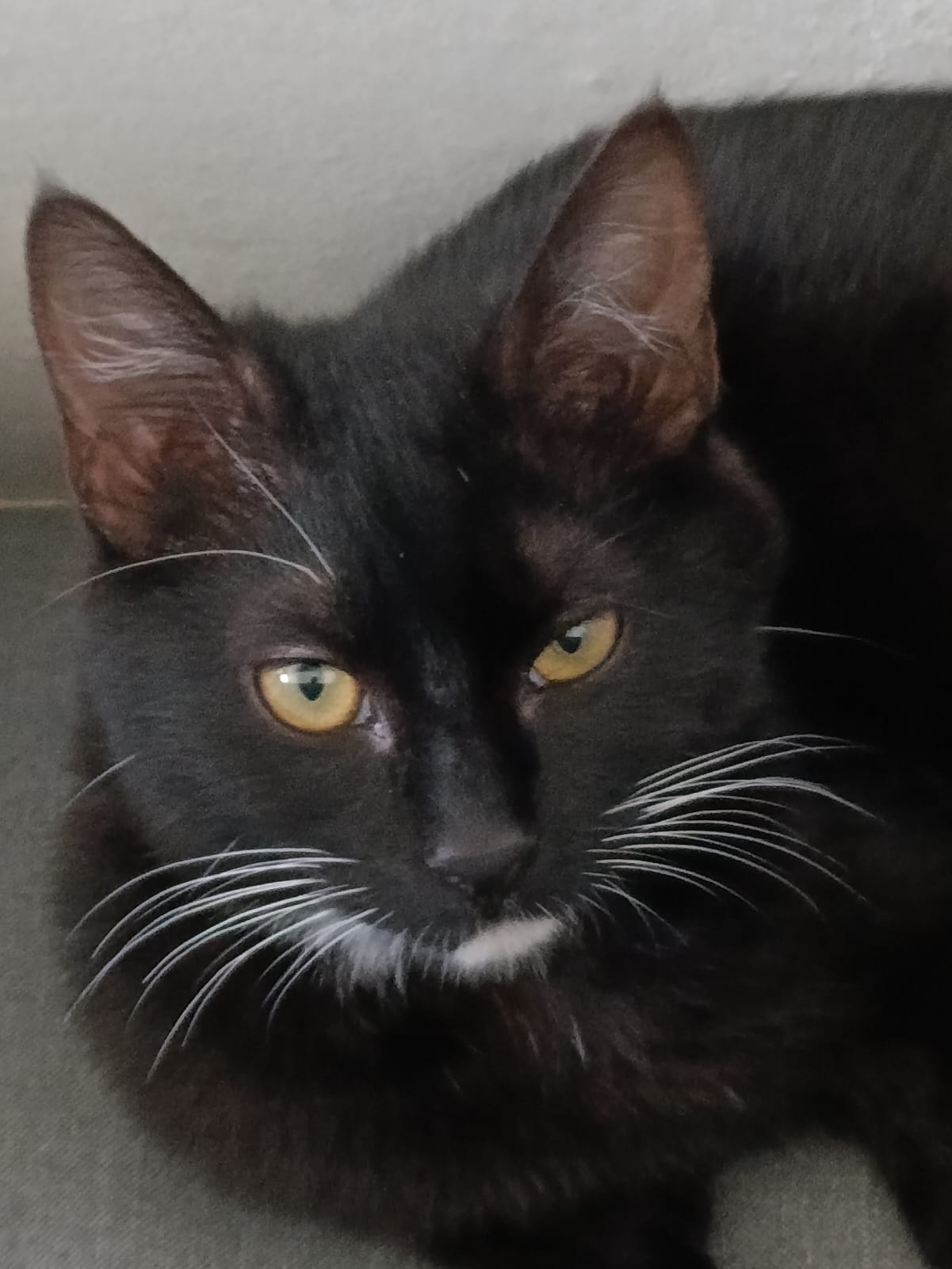 WhatsApp Image 2026-03-19 at 18.20.31