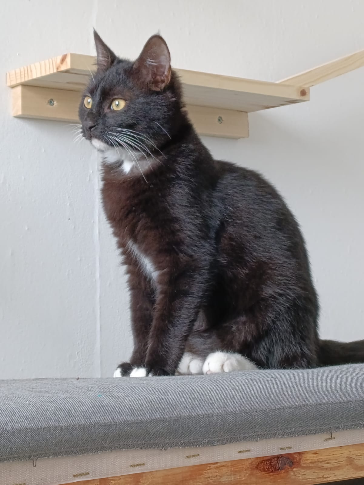 WhatsApp Image 2026-03-19 at 18.20.32 (1)