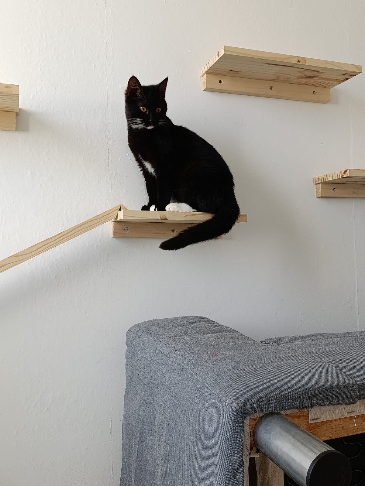 WhatsApp Image 2026-03-19 at 18.20.32 (2)