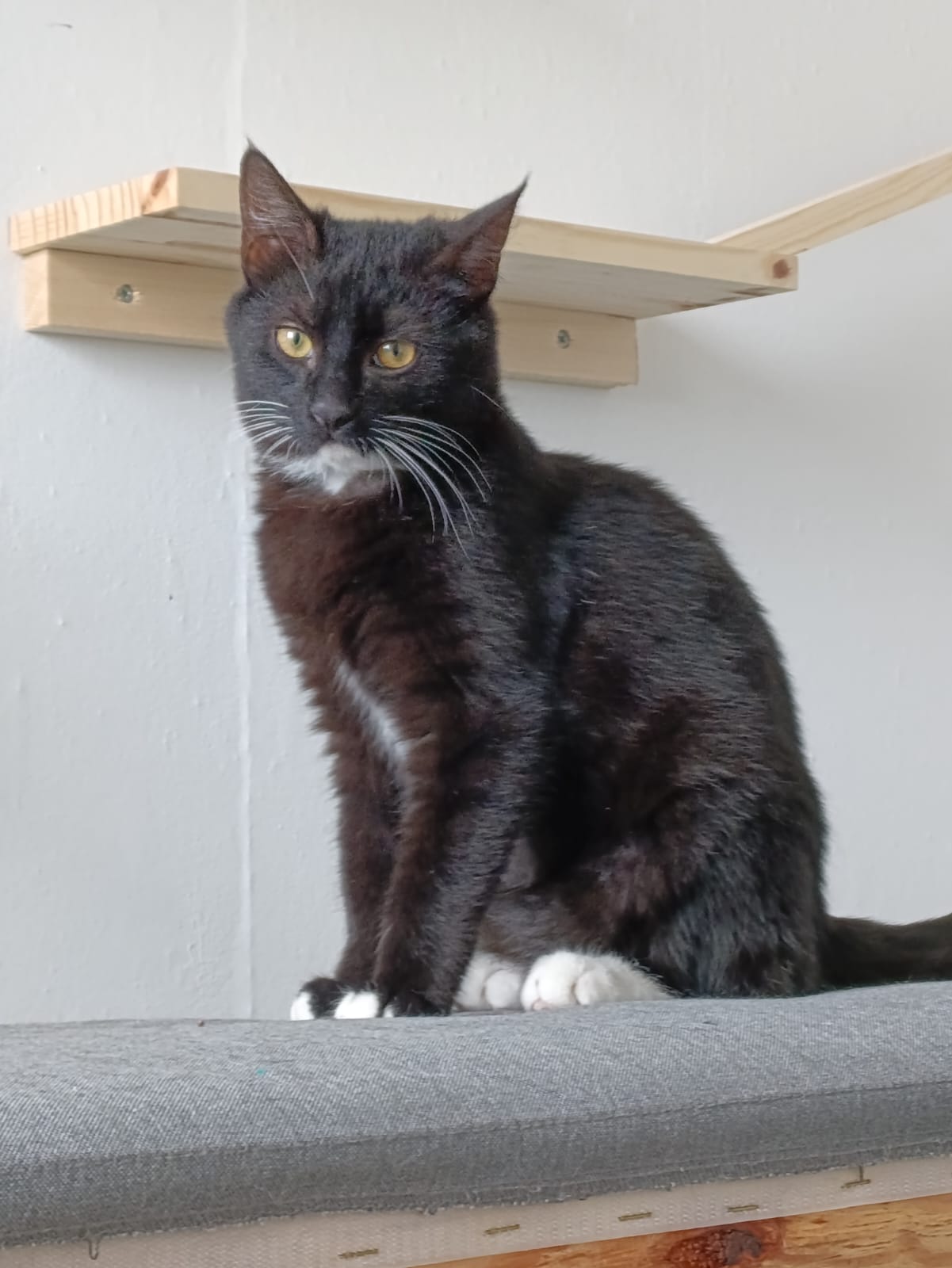 WhatsApp Image 2026-03-19 at 18.20.32